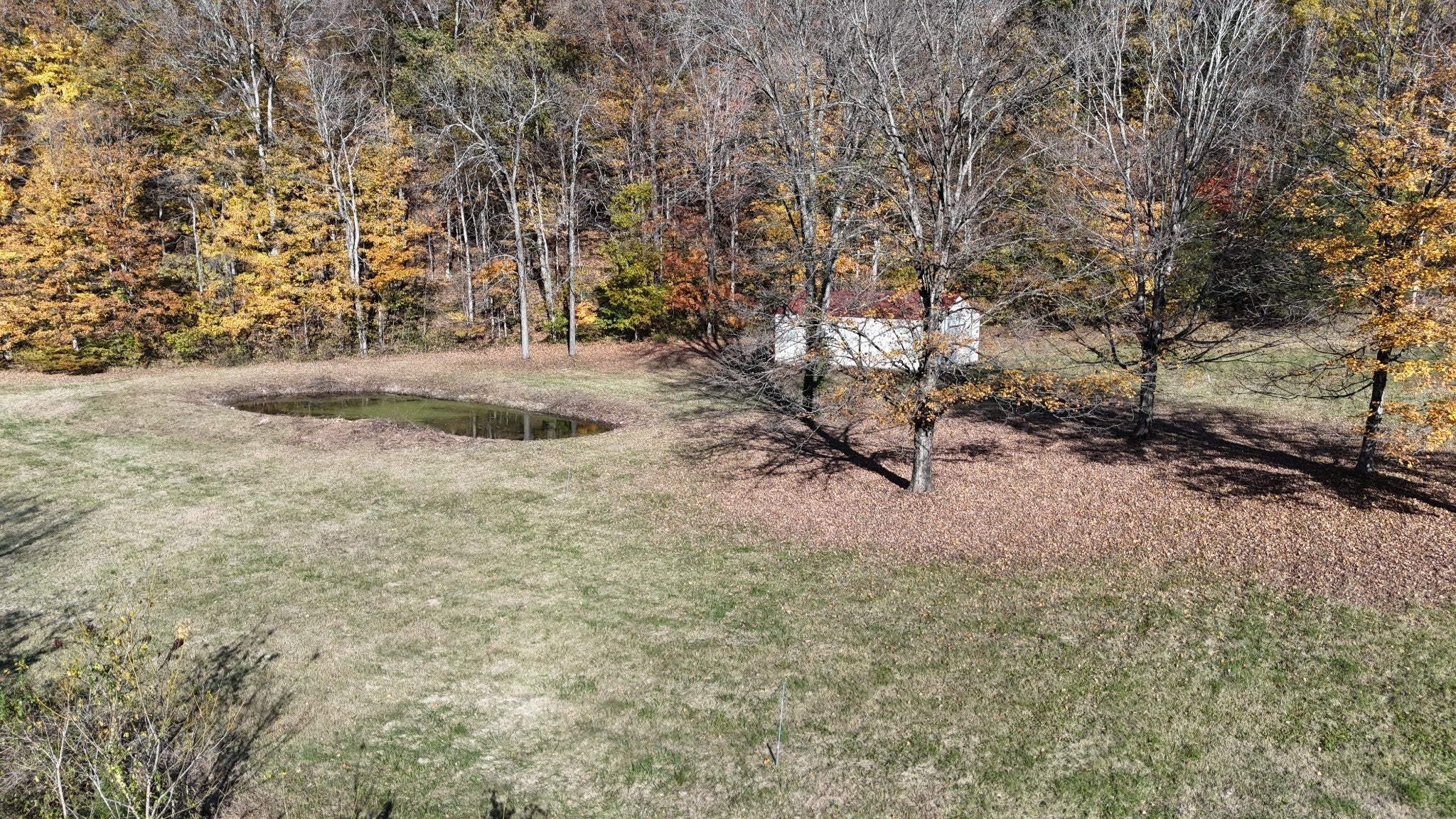 Photo of Listing #3046835