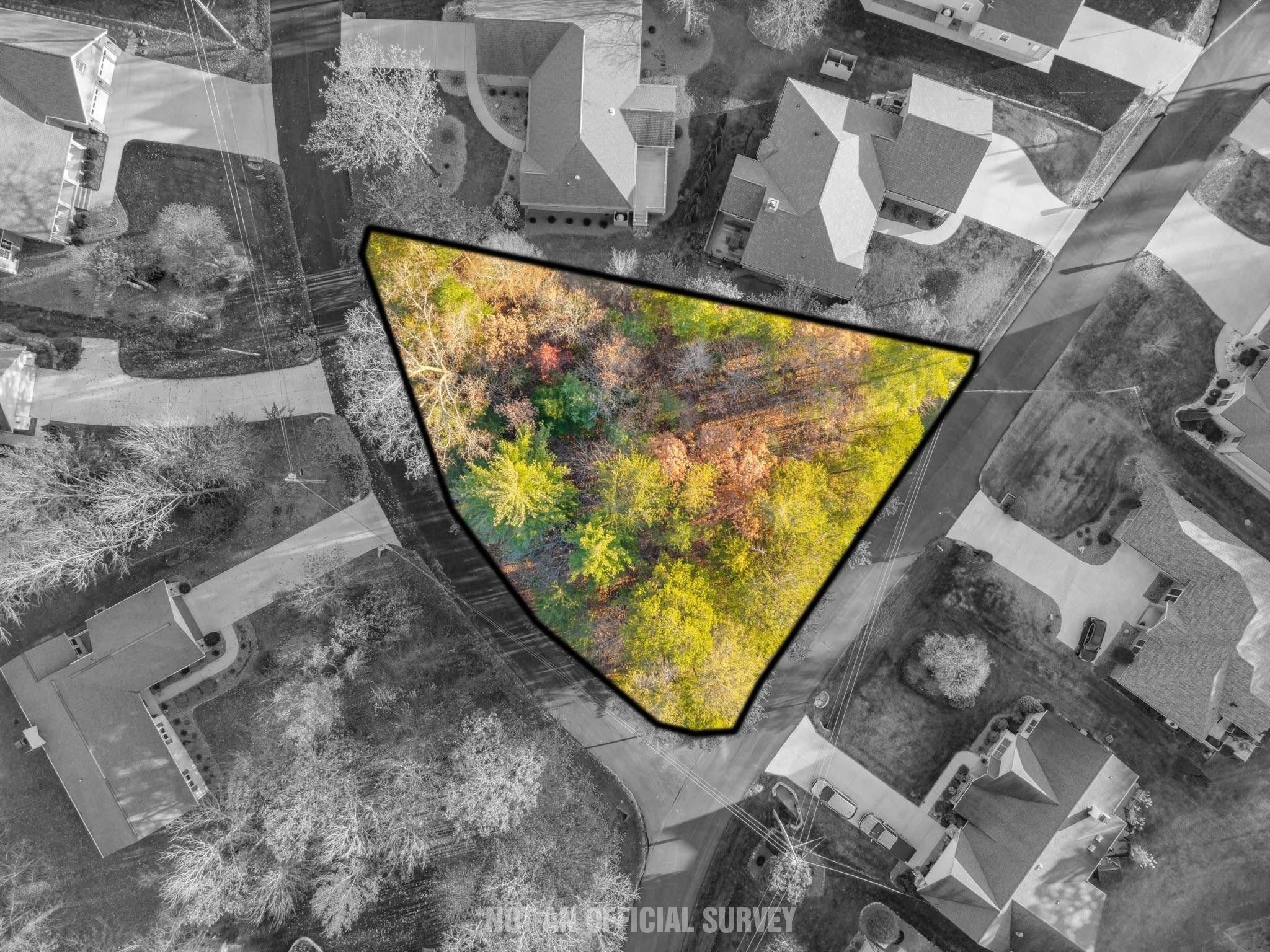 Photo of Listing #3046881