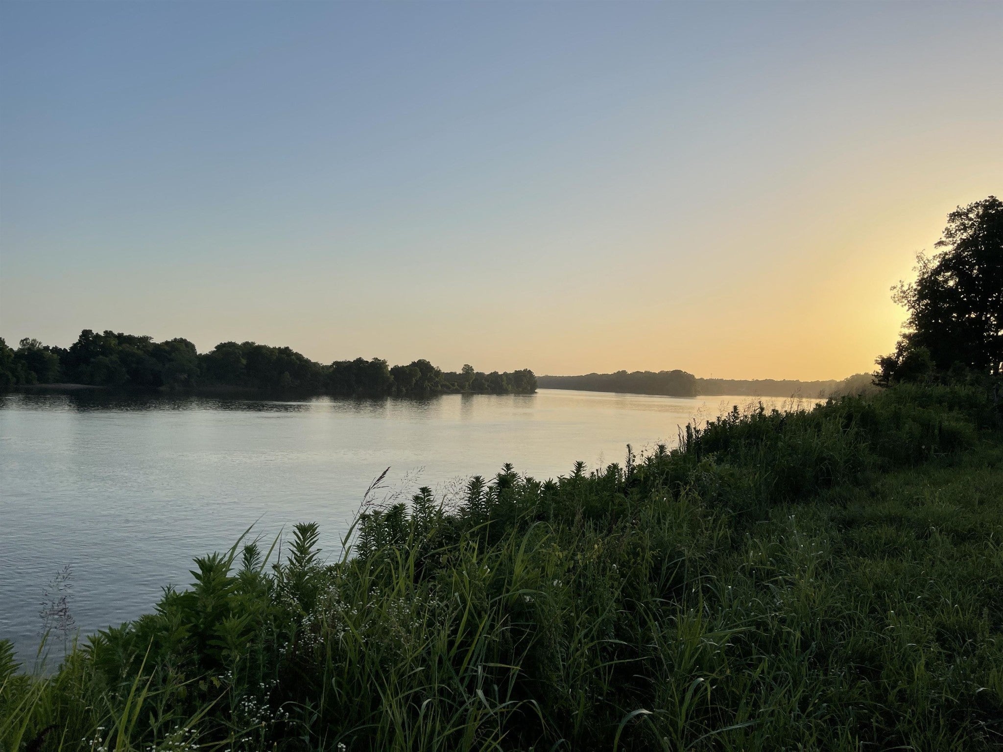 Photo of Listing #3047110