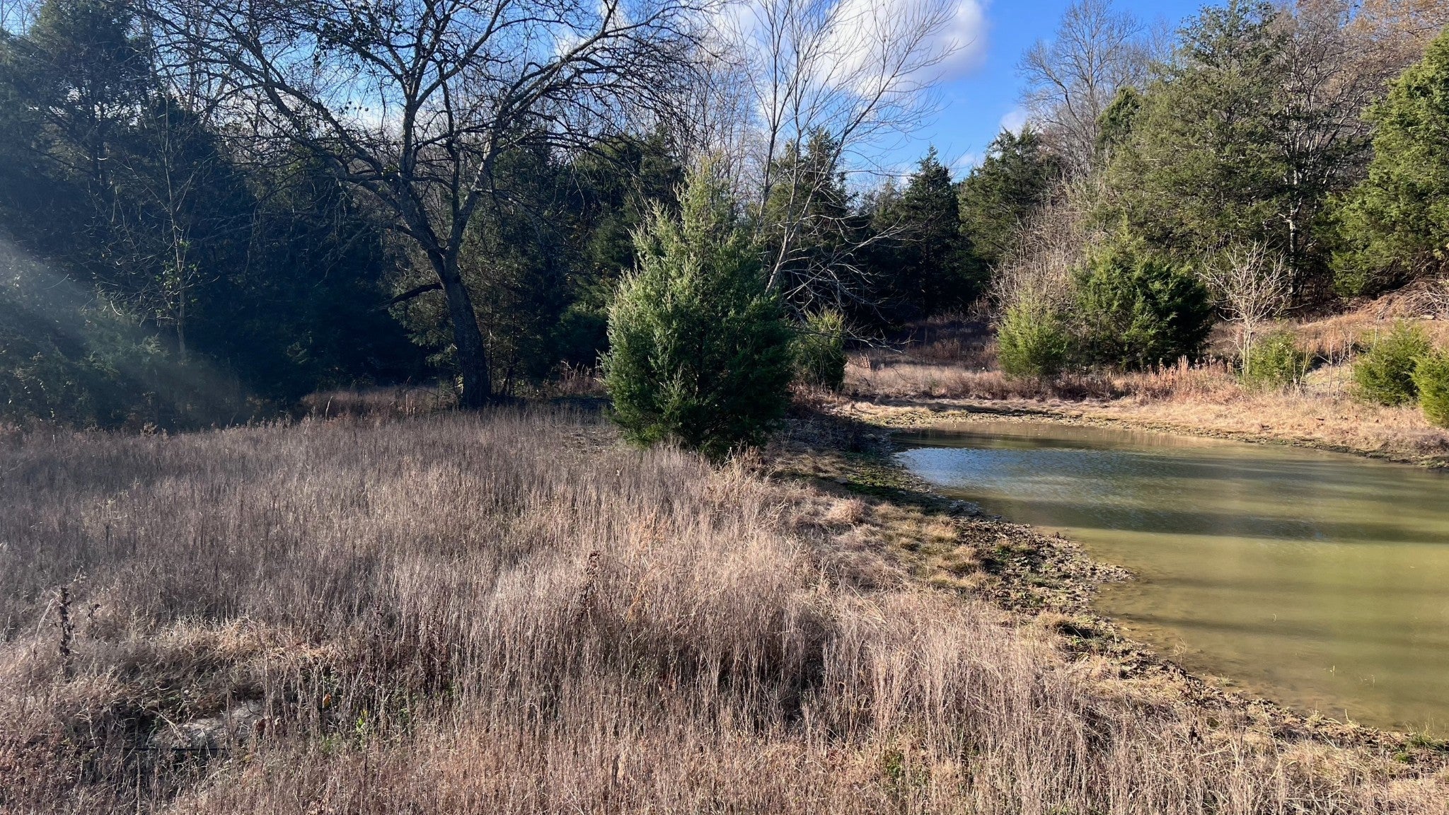 Photo of Listing #3047217