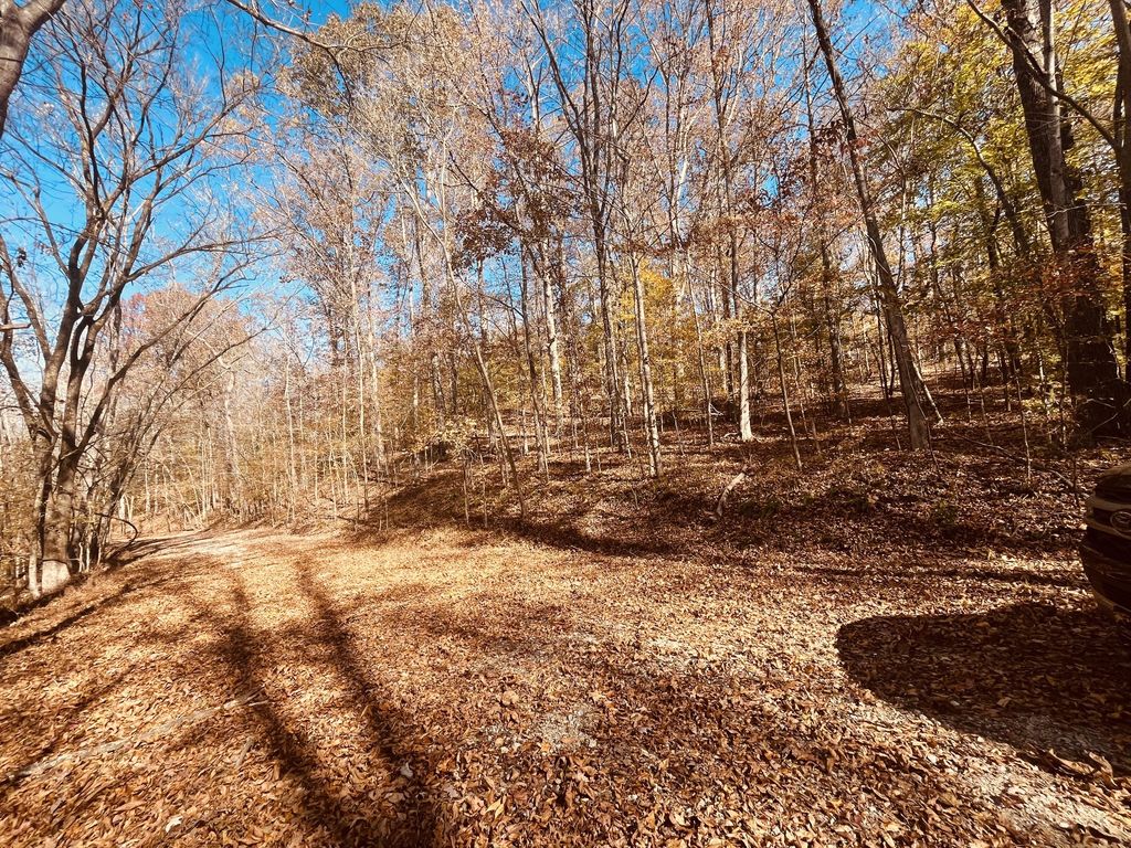0 Arrow Head Circle, Parsons