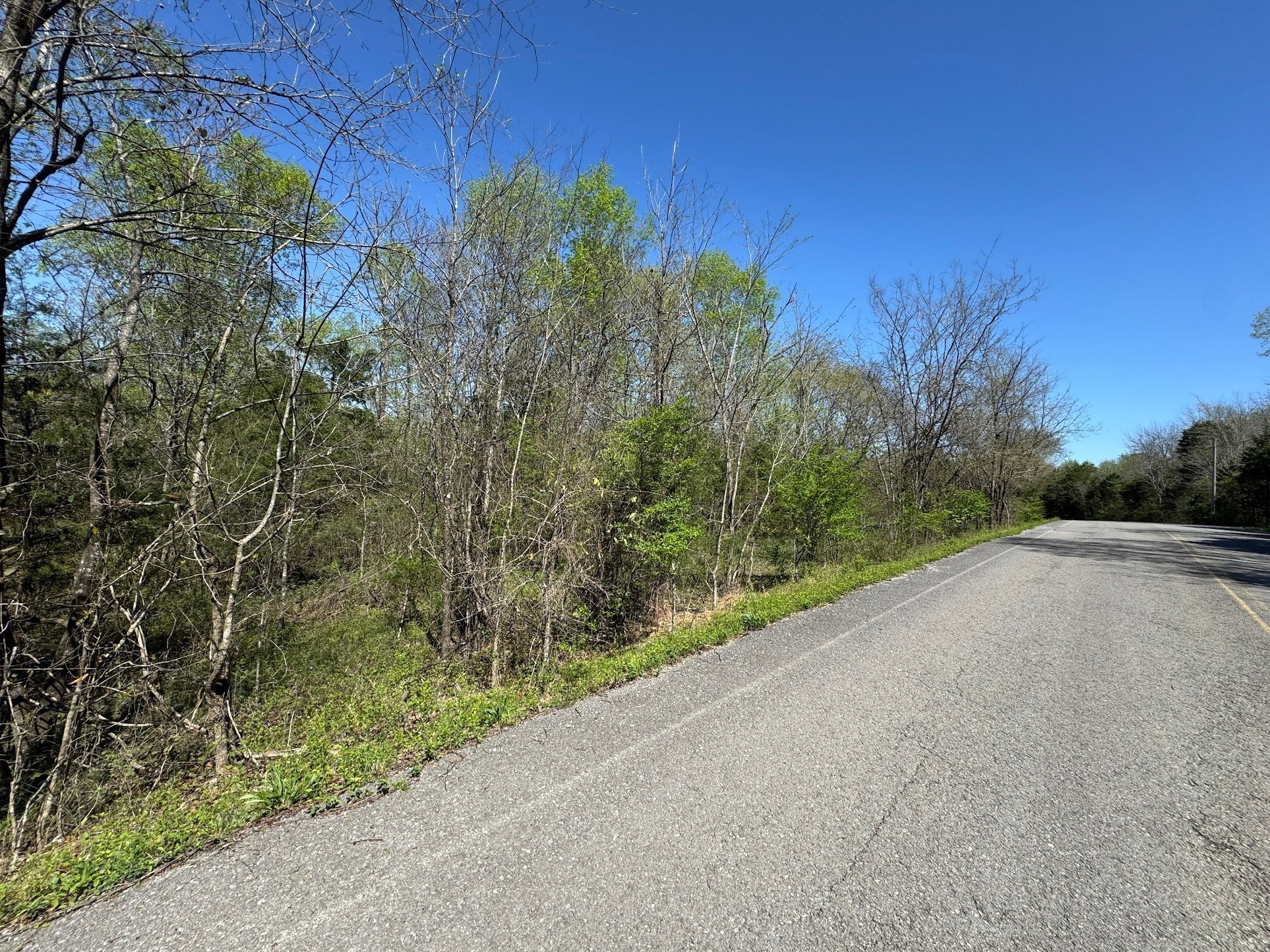 Photo of Listing #3047448