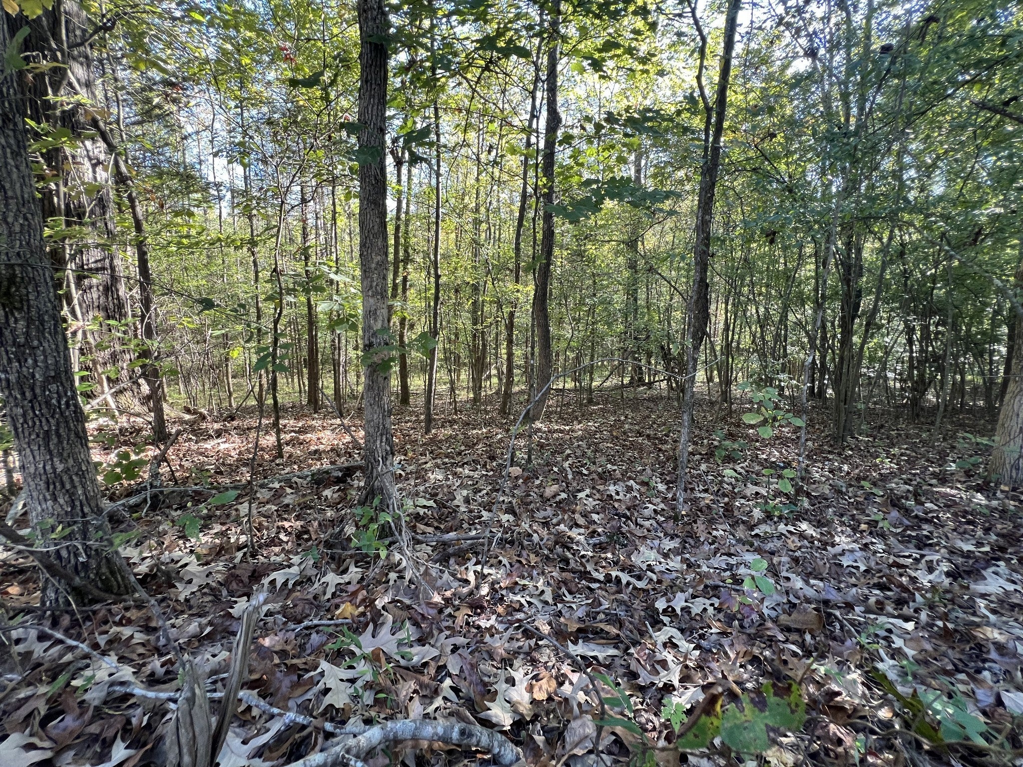 Photo of Listing #3047508