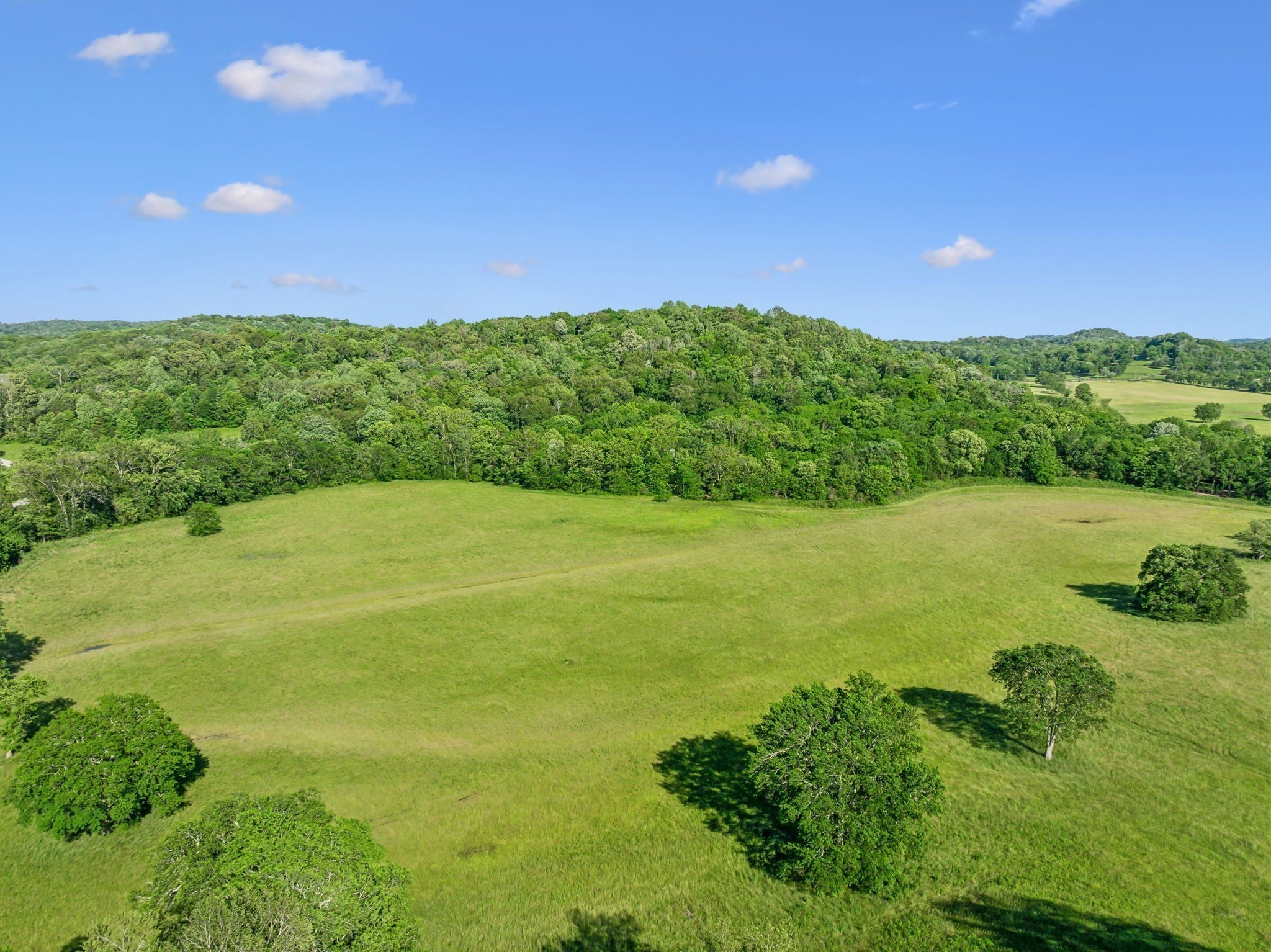 Photo of Listing #3047654