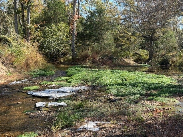 Photo of Listing #3047660