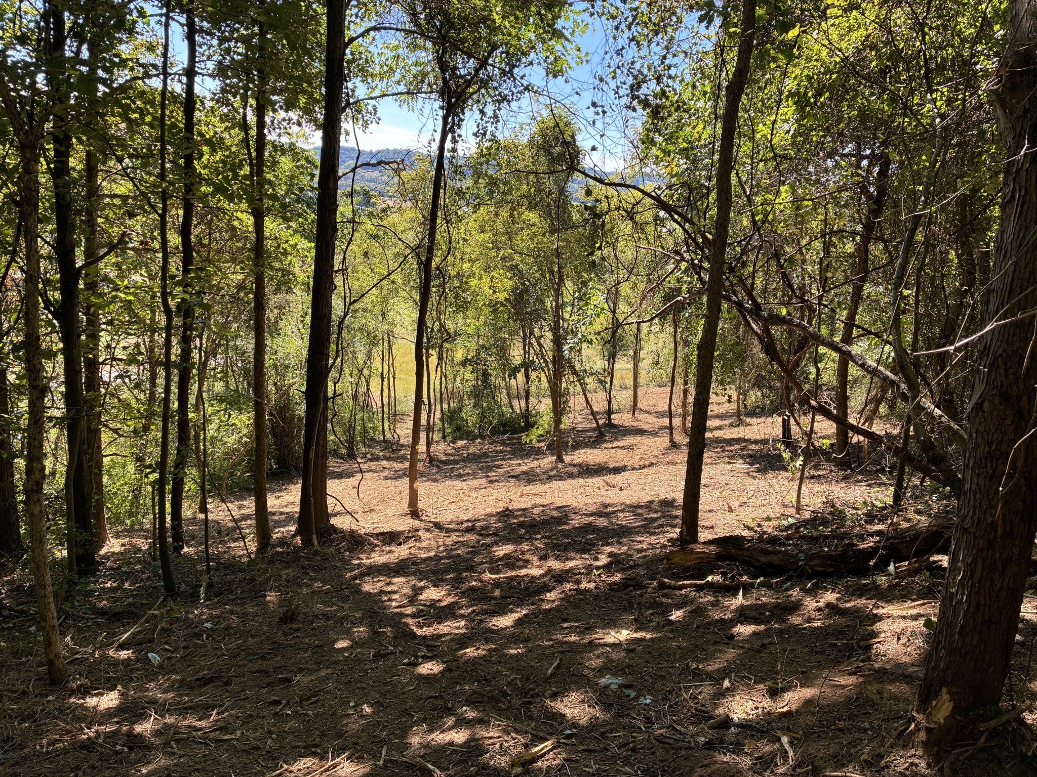 Photo of Listing #3047919