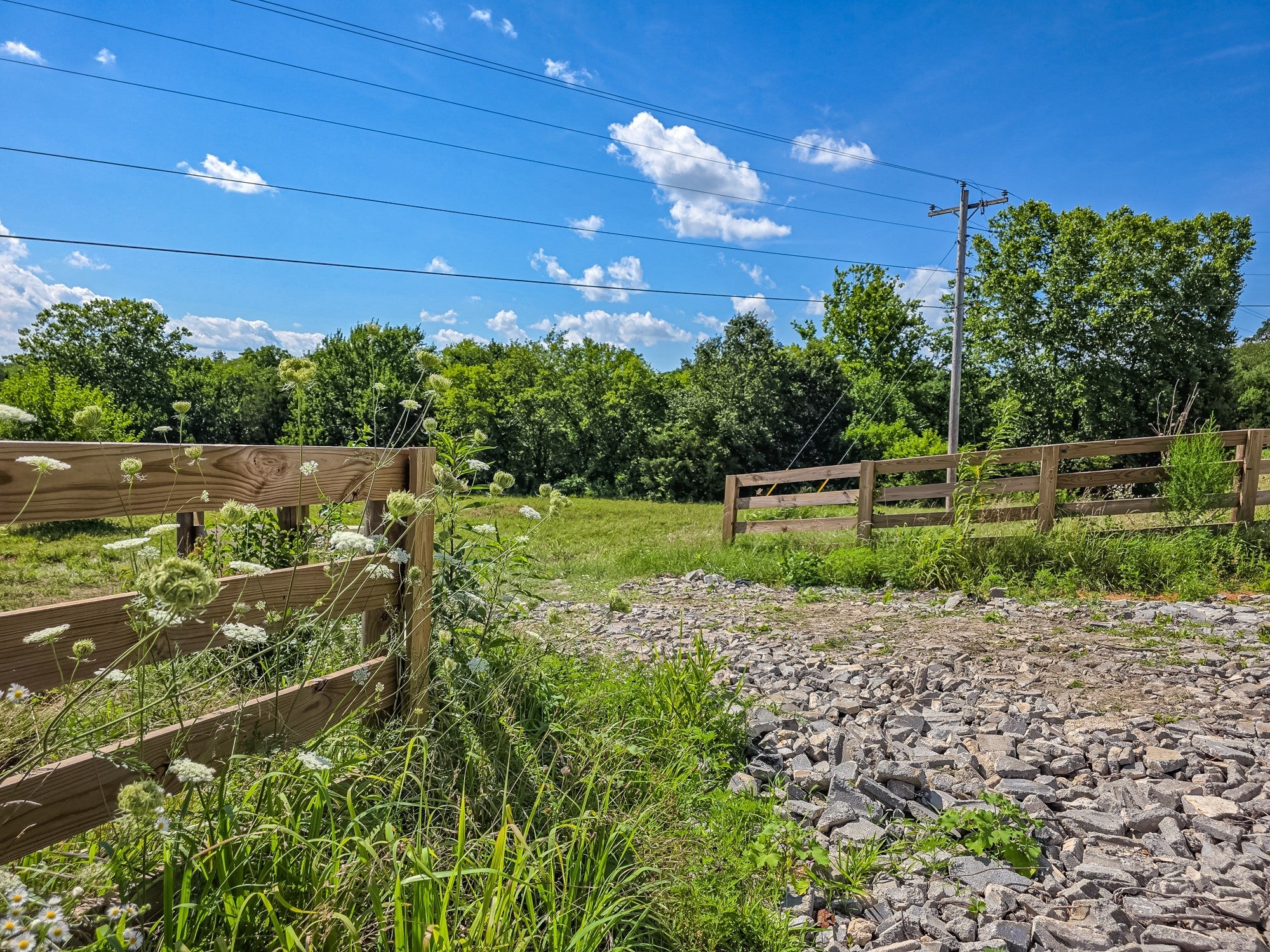 Photo of Listing #3048776