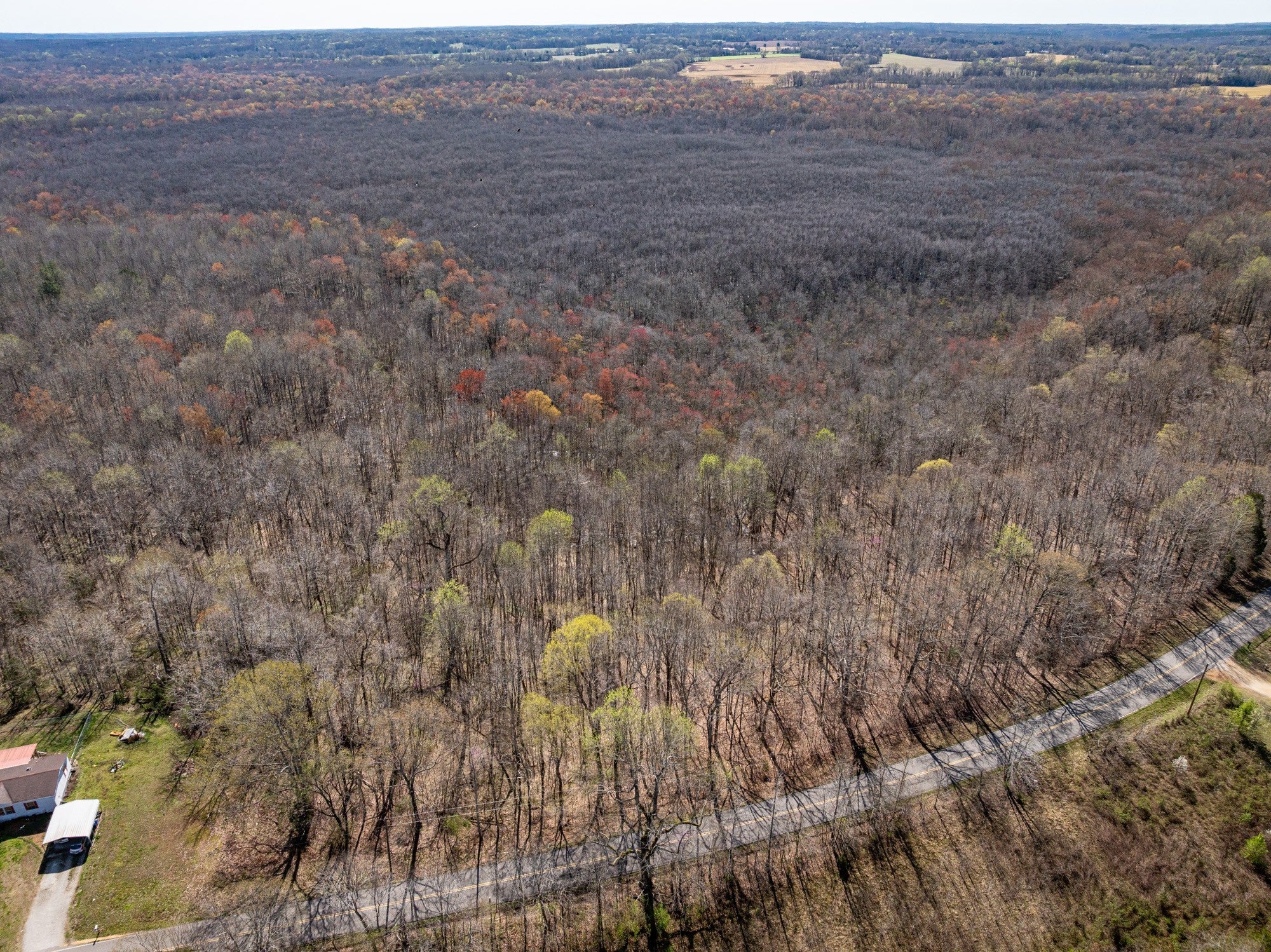 Photo of Listing #3048951