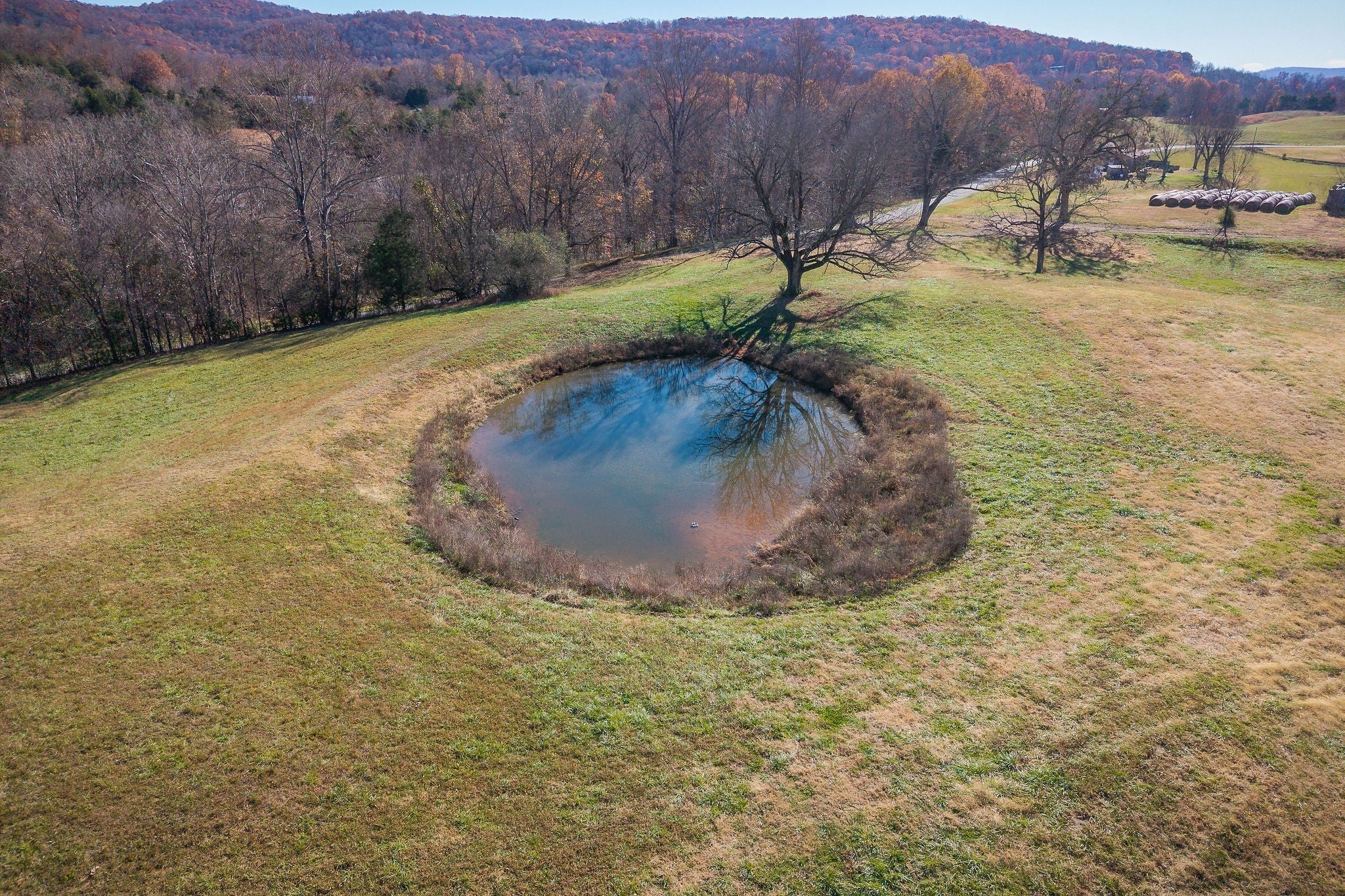 Photo of Listing #3049161