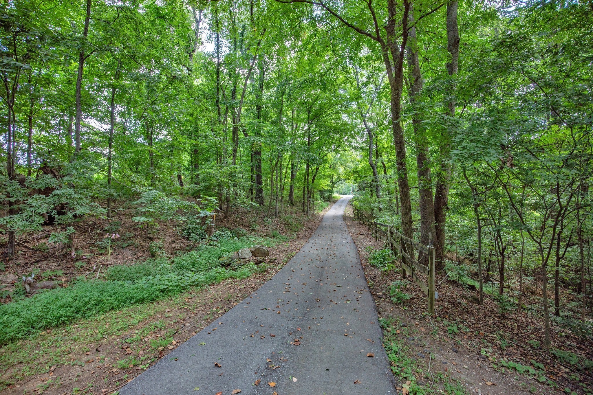 Photo of Listing #3049402