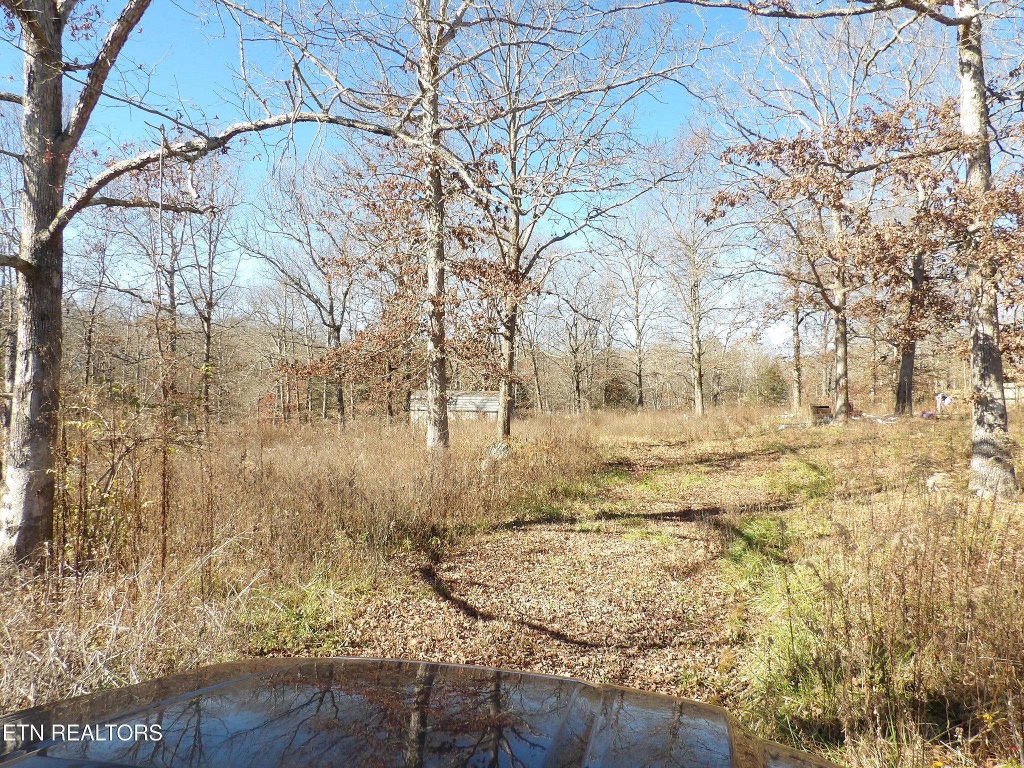 Photo of Listing #3049455