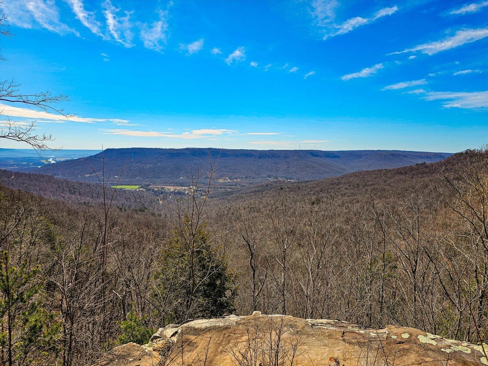 Photo of Listing #3049508