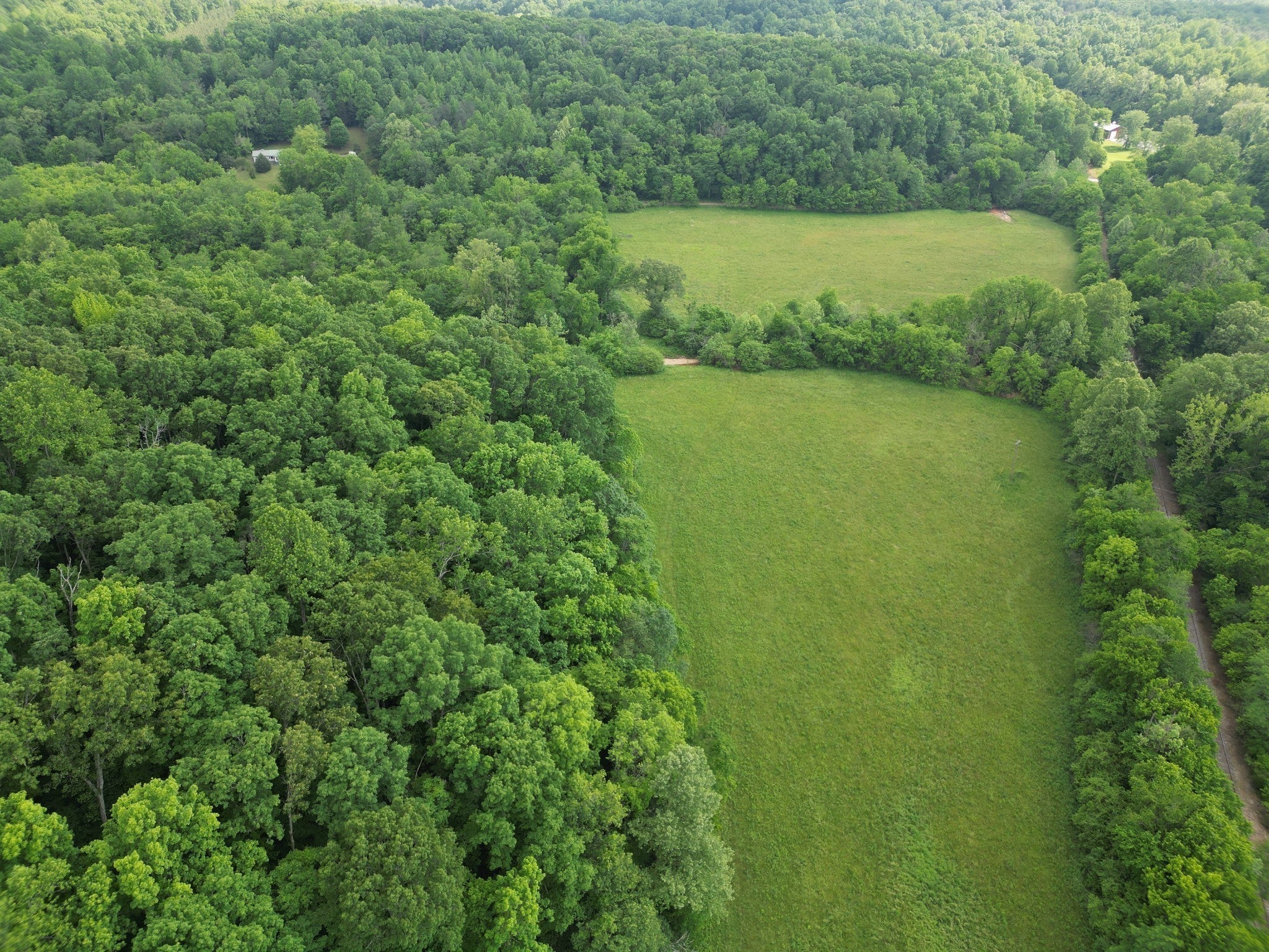 Photo of Listing #3049525