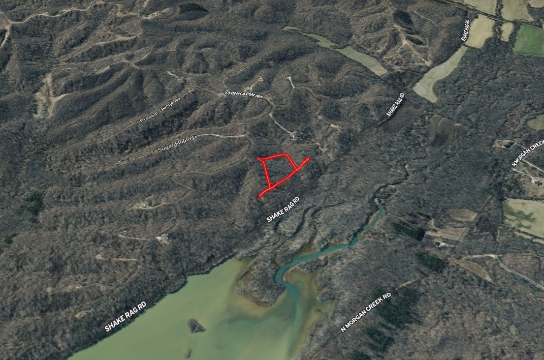 Photo of Listing #3049743