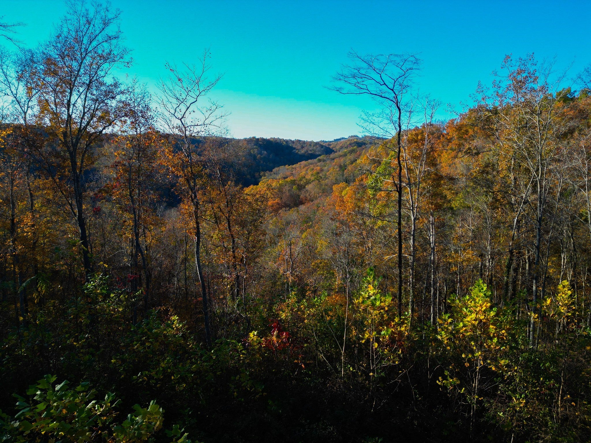 Photo of Listing #3049749