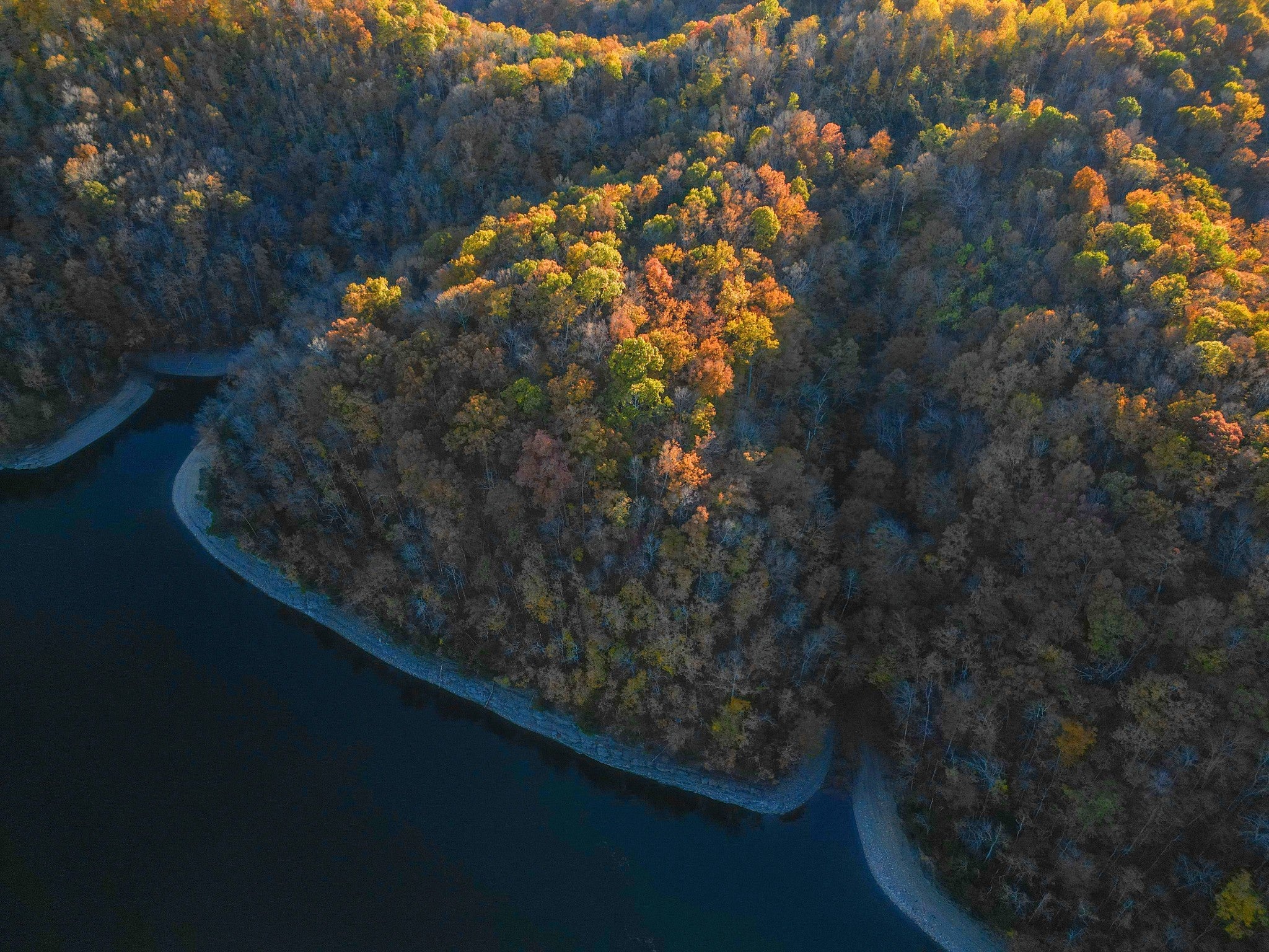 Photo of Listing #3049750