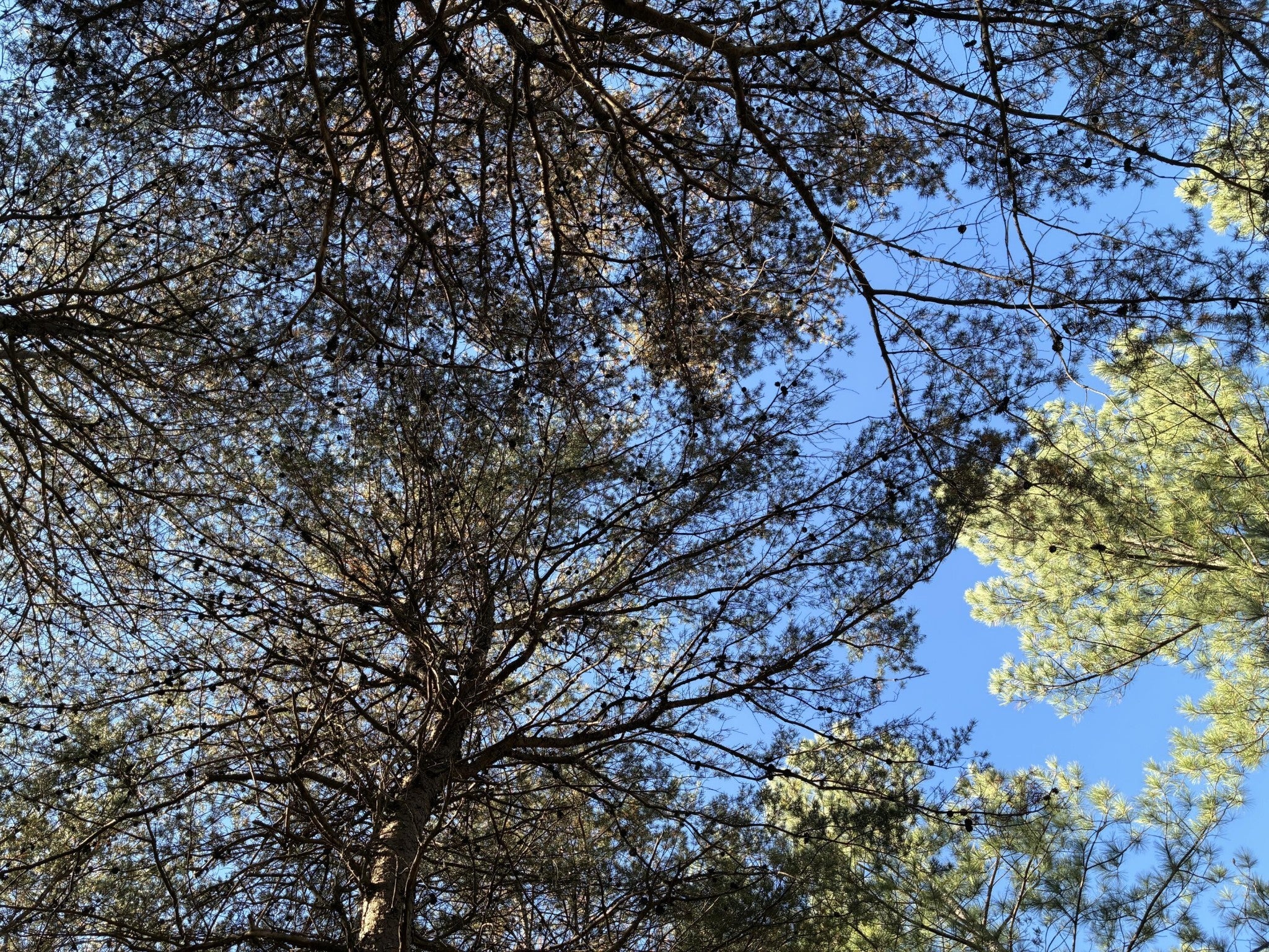 Photo of Listing #3050013