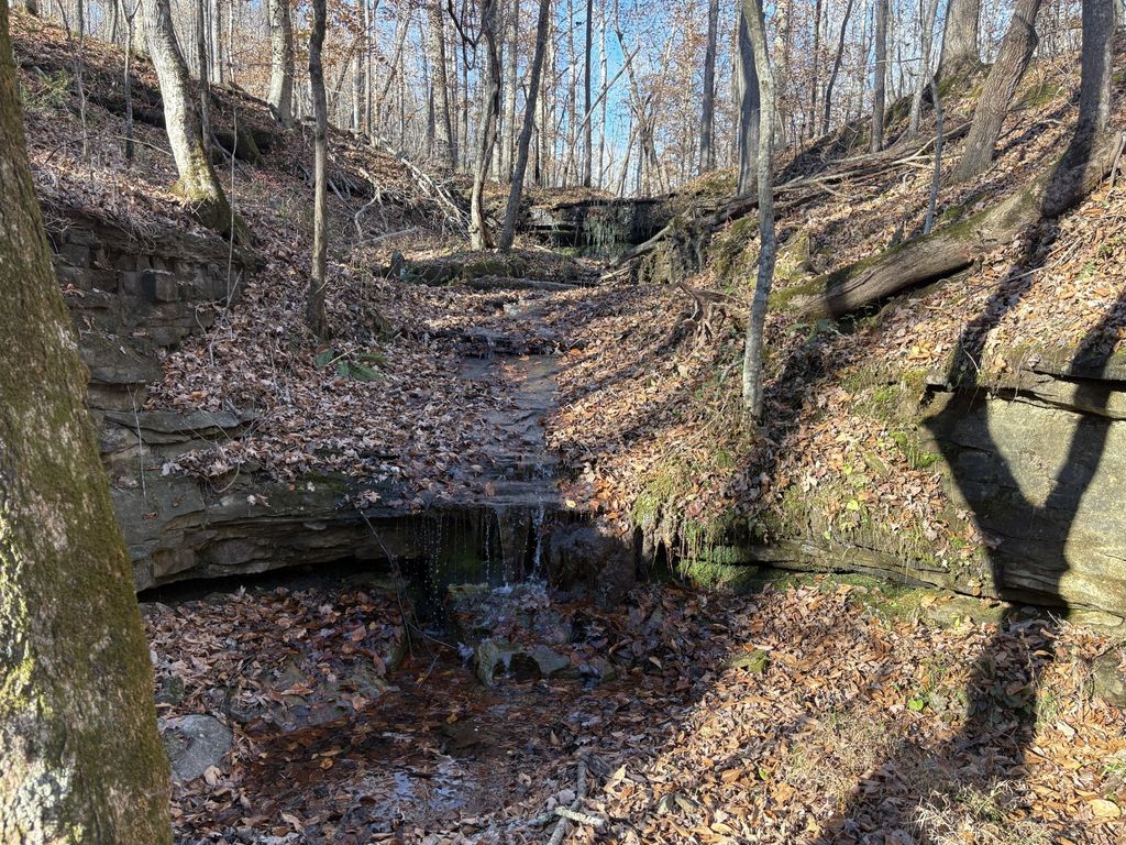 0 Pigpen Hollow Rd, Waynesboro