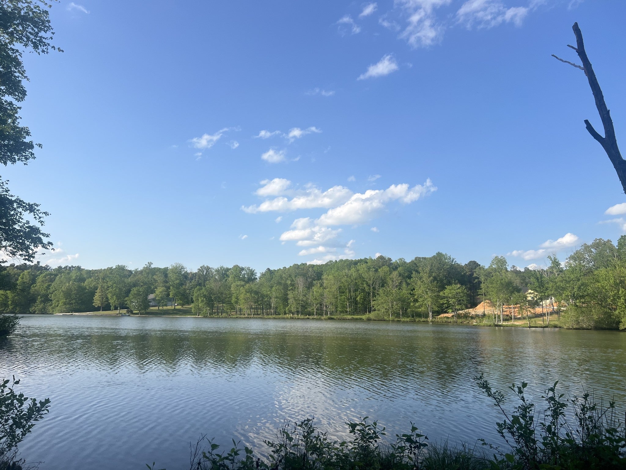 Photo of Listing #3050266