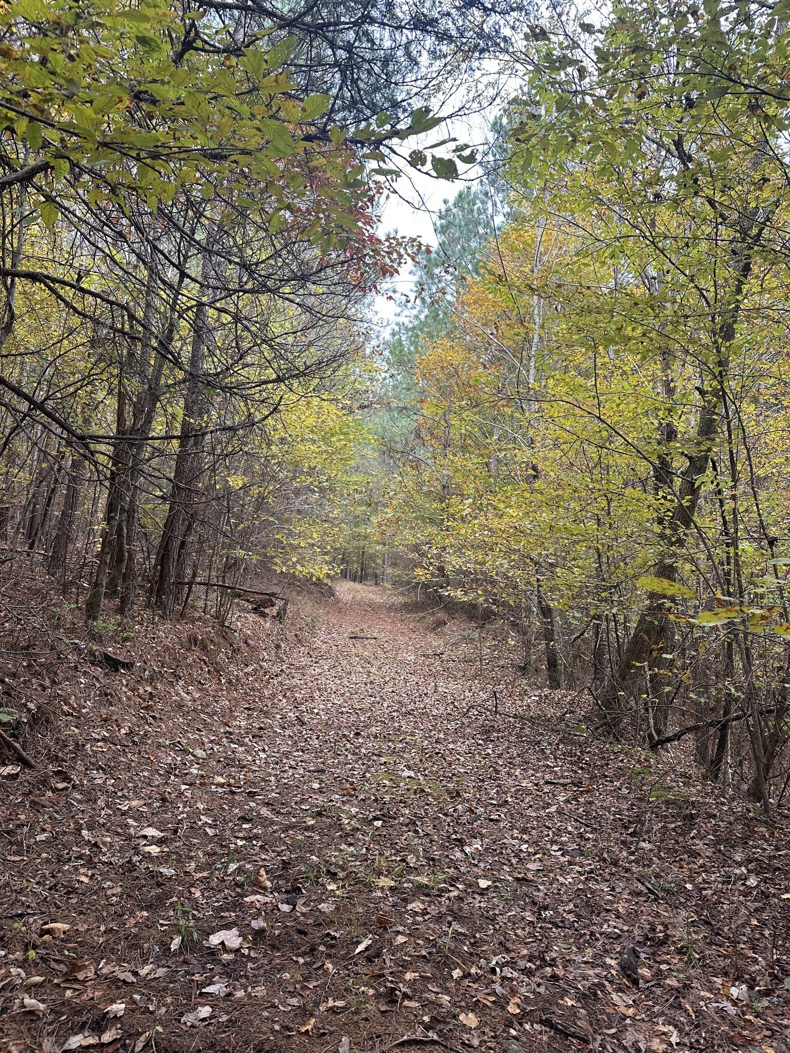 Photo of Listing #3050309