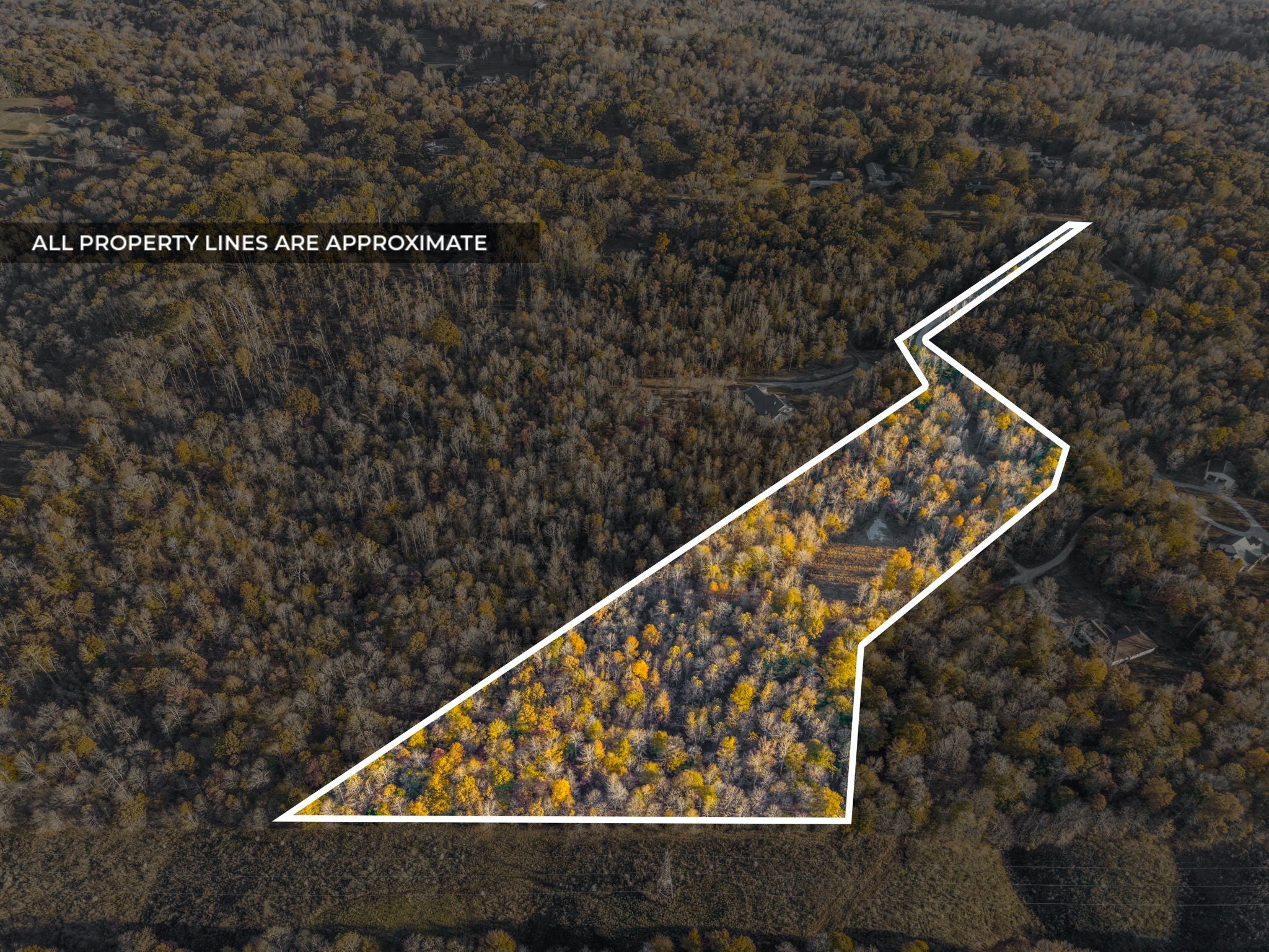 Photo of Listing #3050592