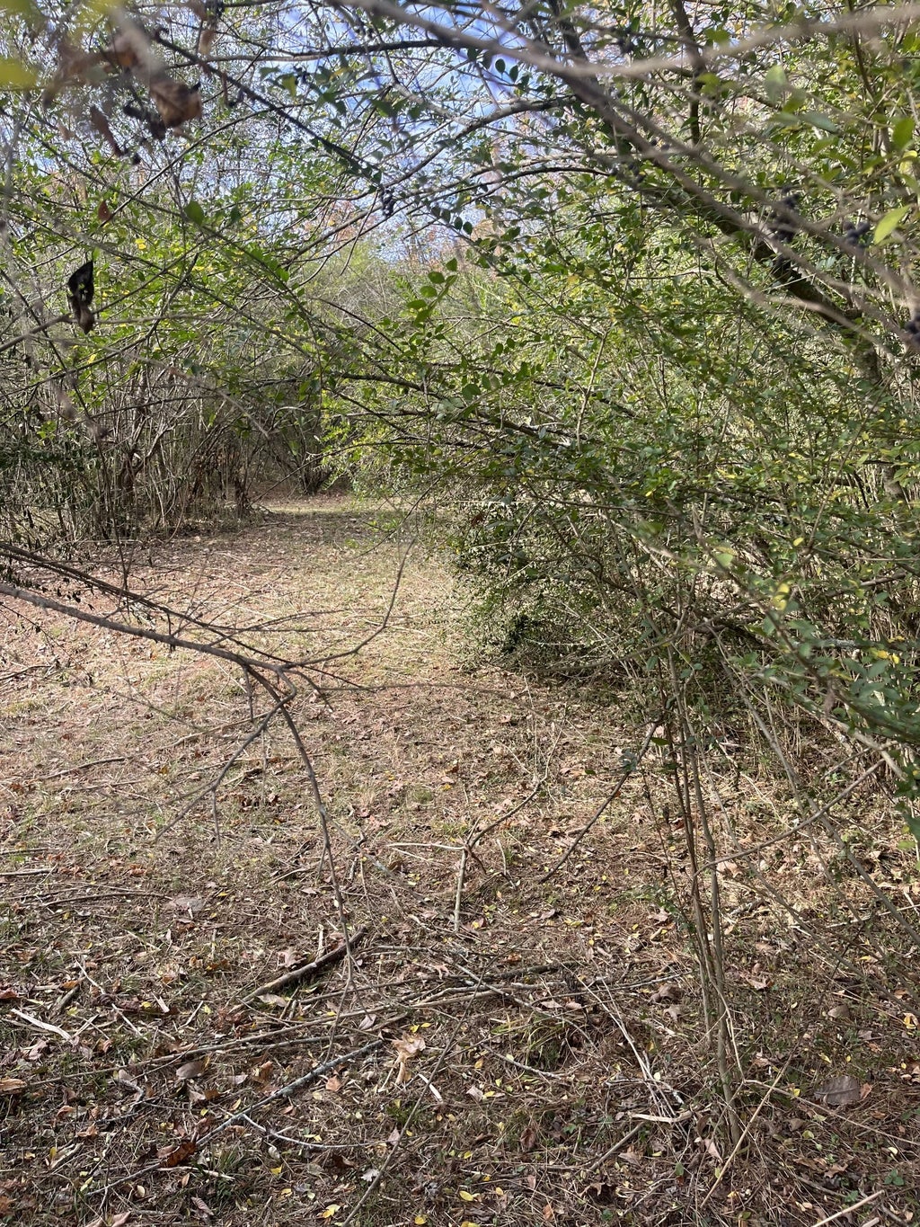 3371 Freeman Hollow Rd, Goodlettsville