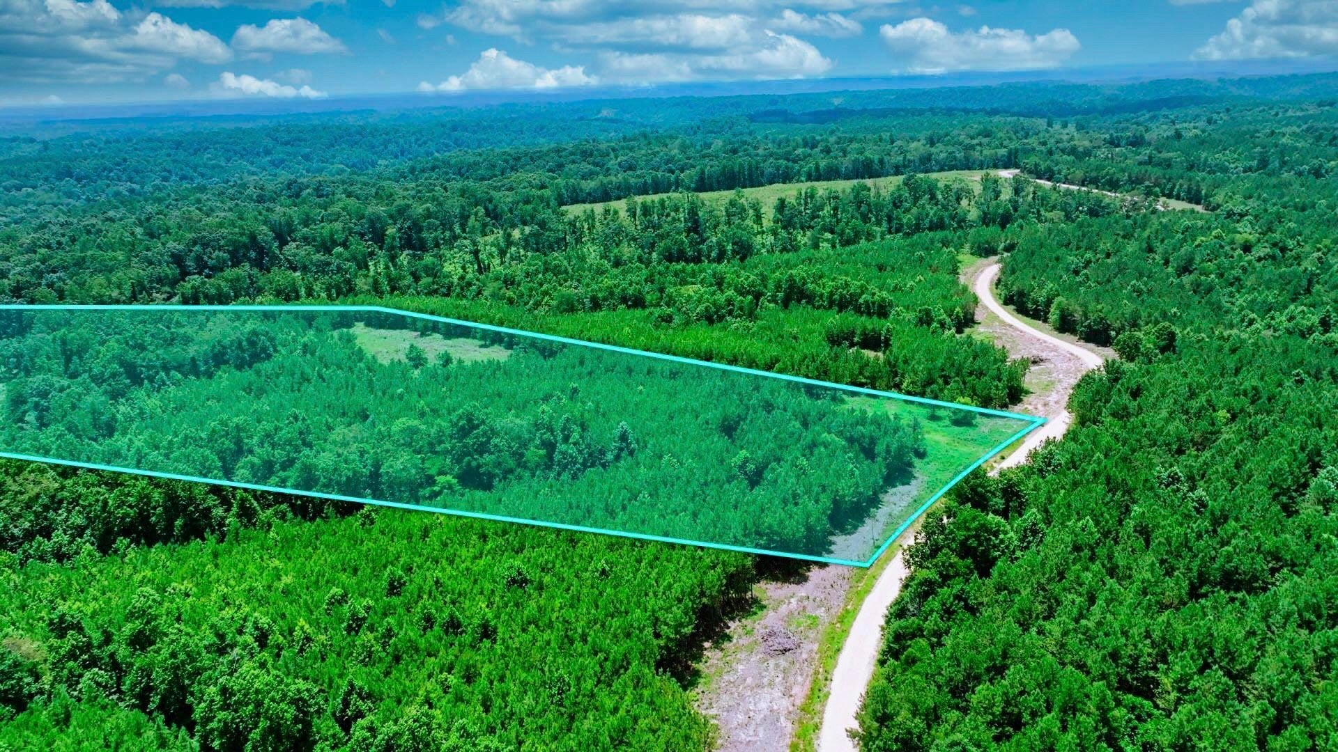 Photo of Listing #3050934