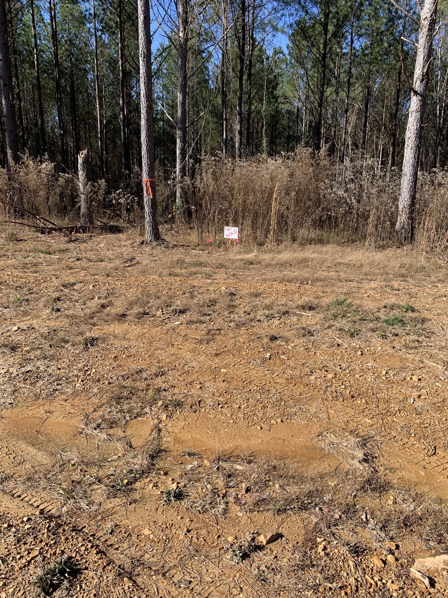 Photo of Listing #3051522