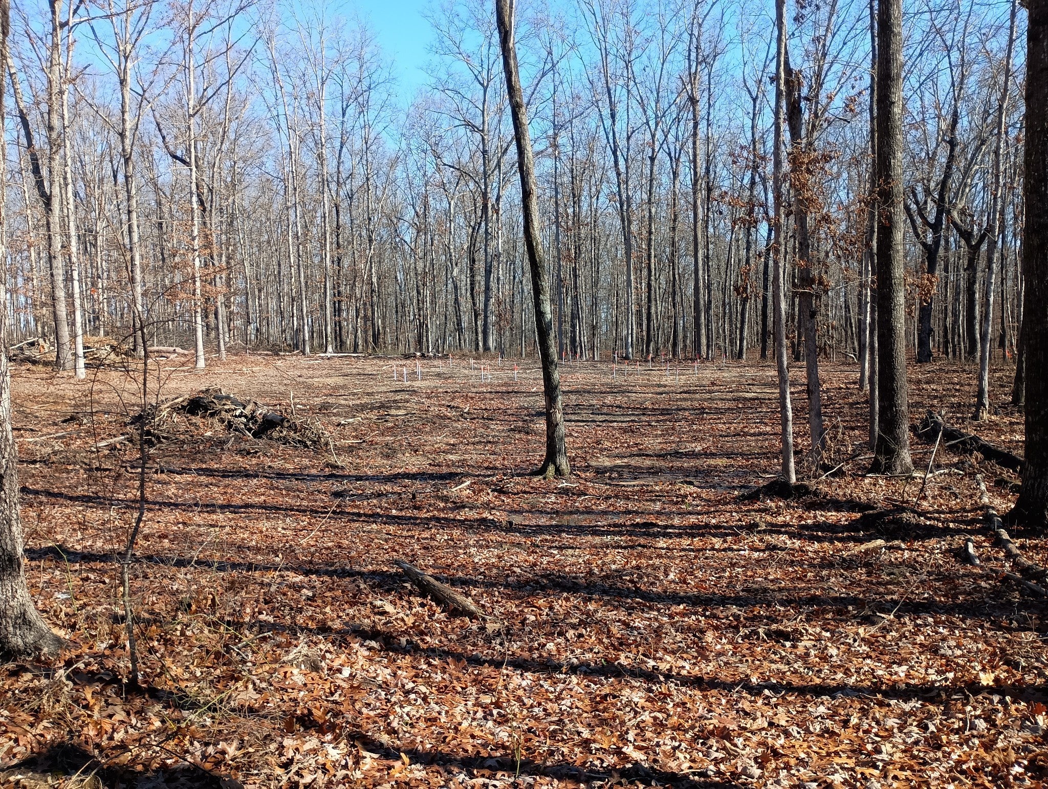 Photo of Listing #3051531