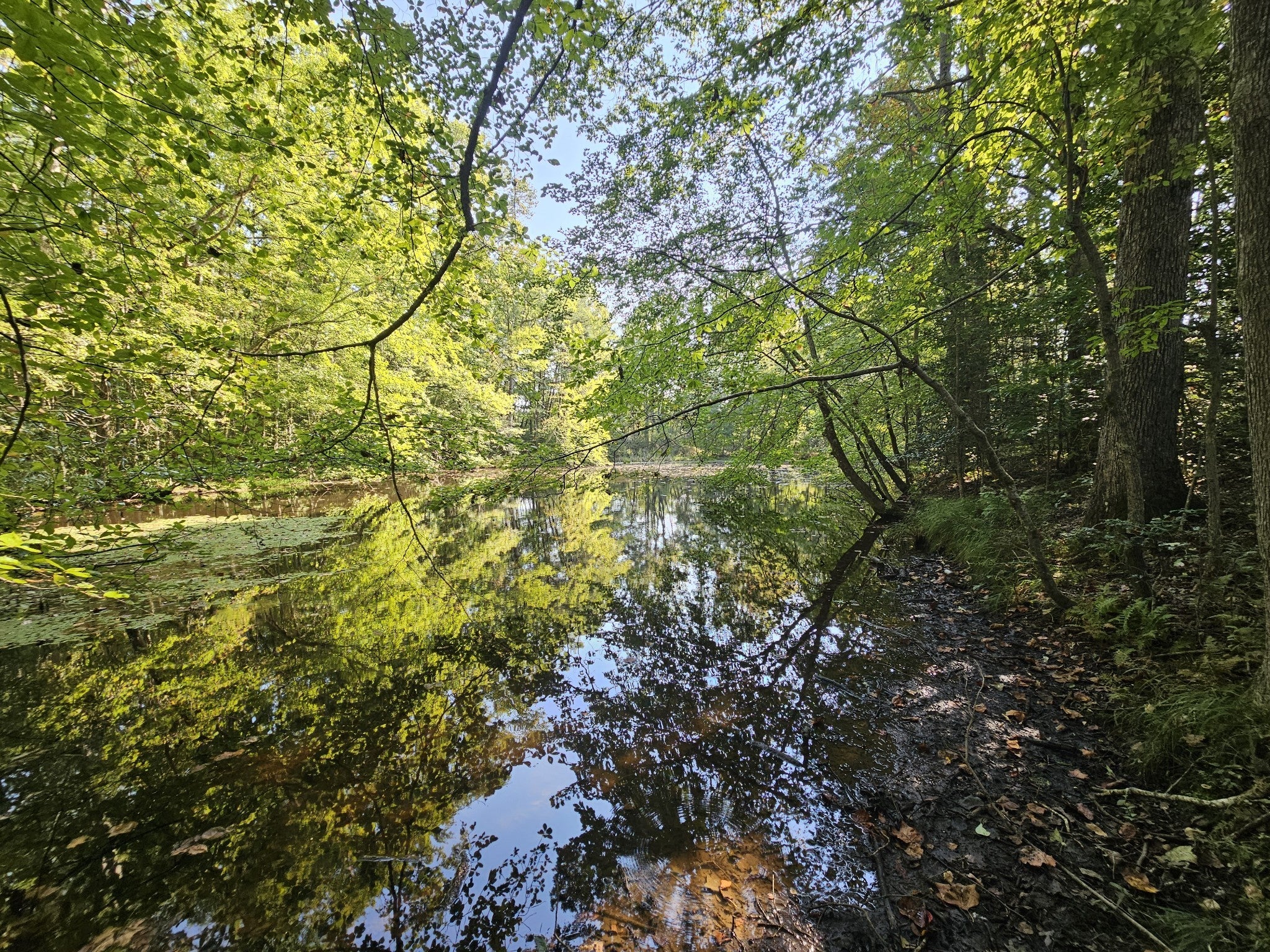 Photo of Listing #3051618