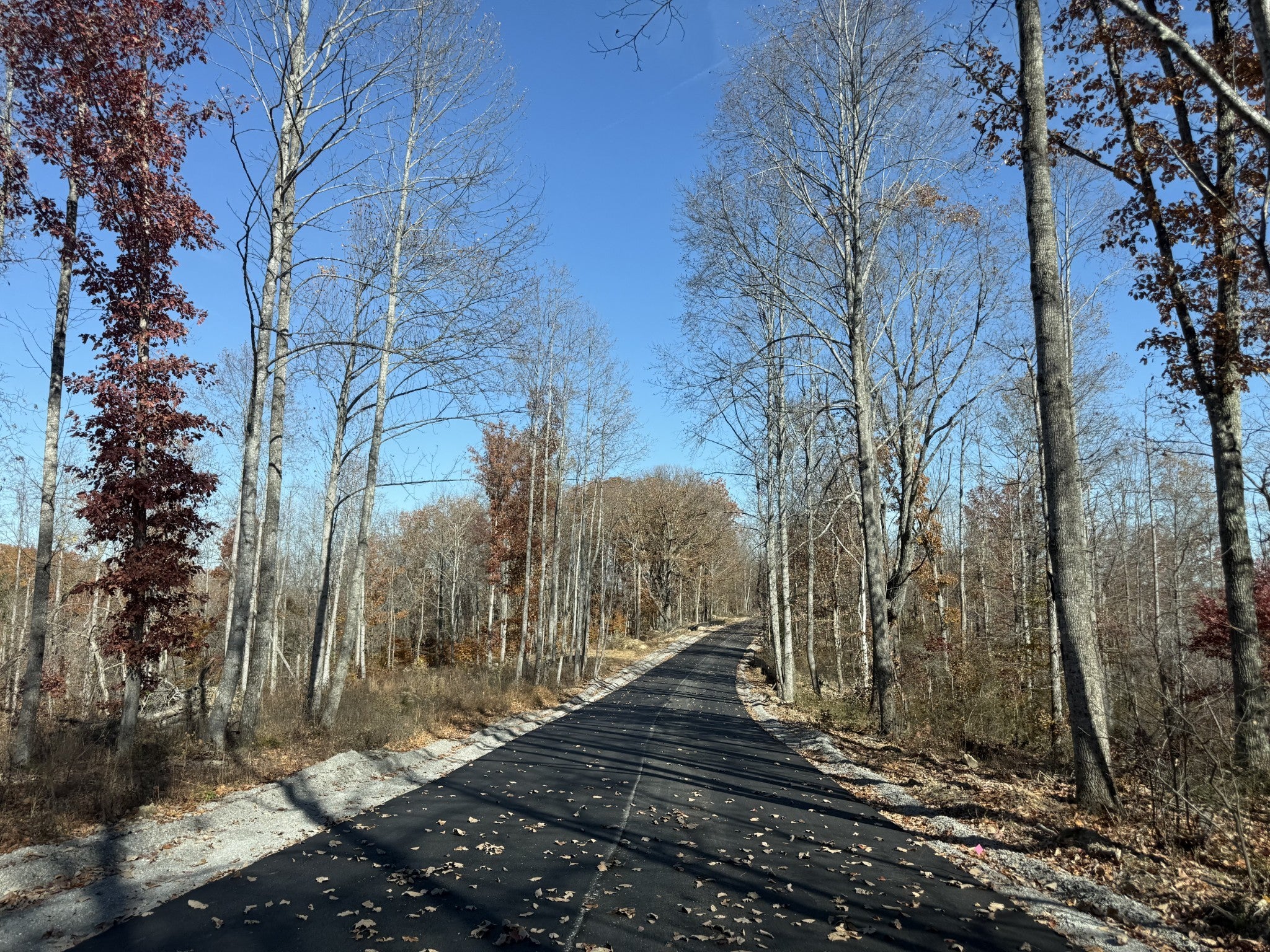 Photo of Listing #3051643