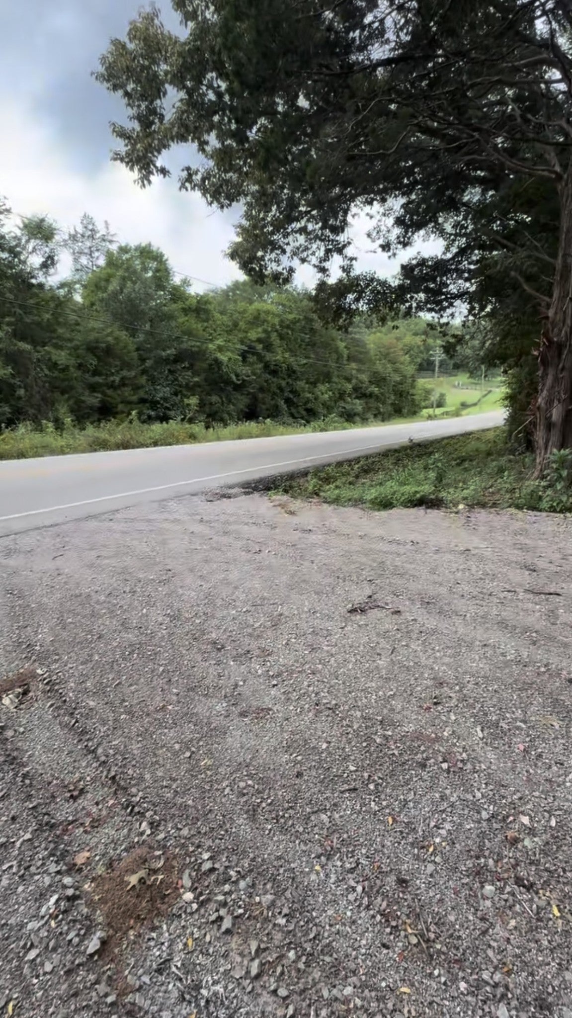 Photo of Listing #3051722