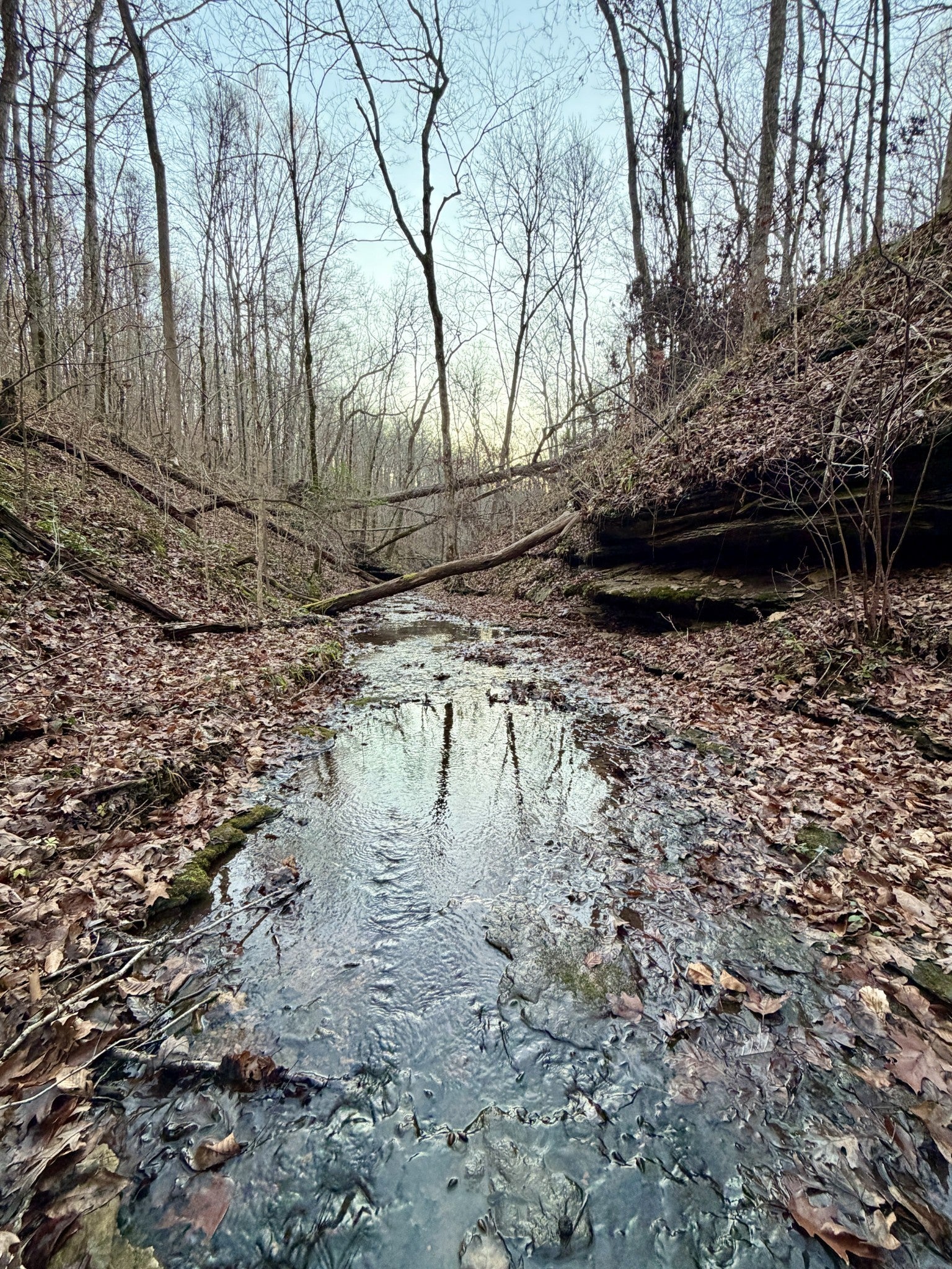 Photo of Listing #3051980