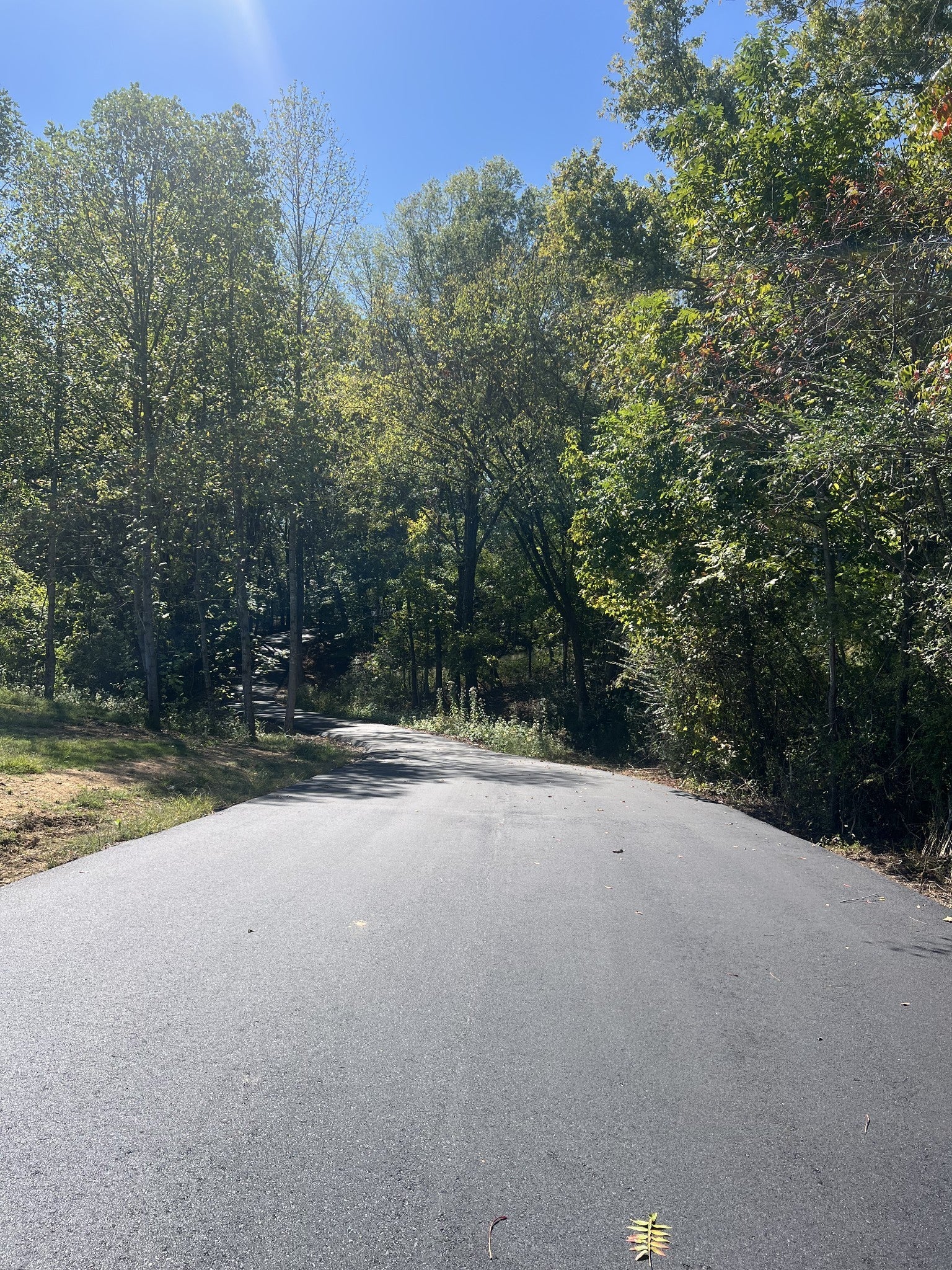 Photo of Listing #3051998