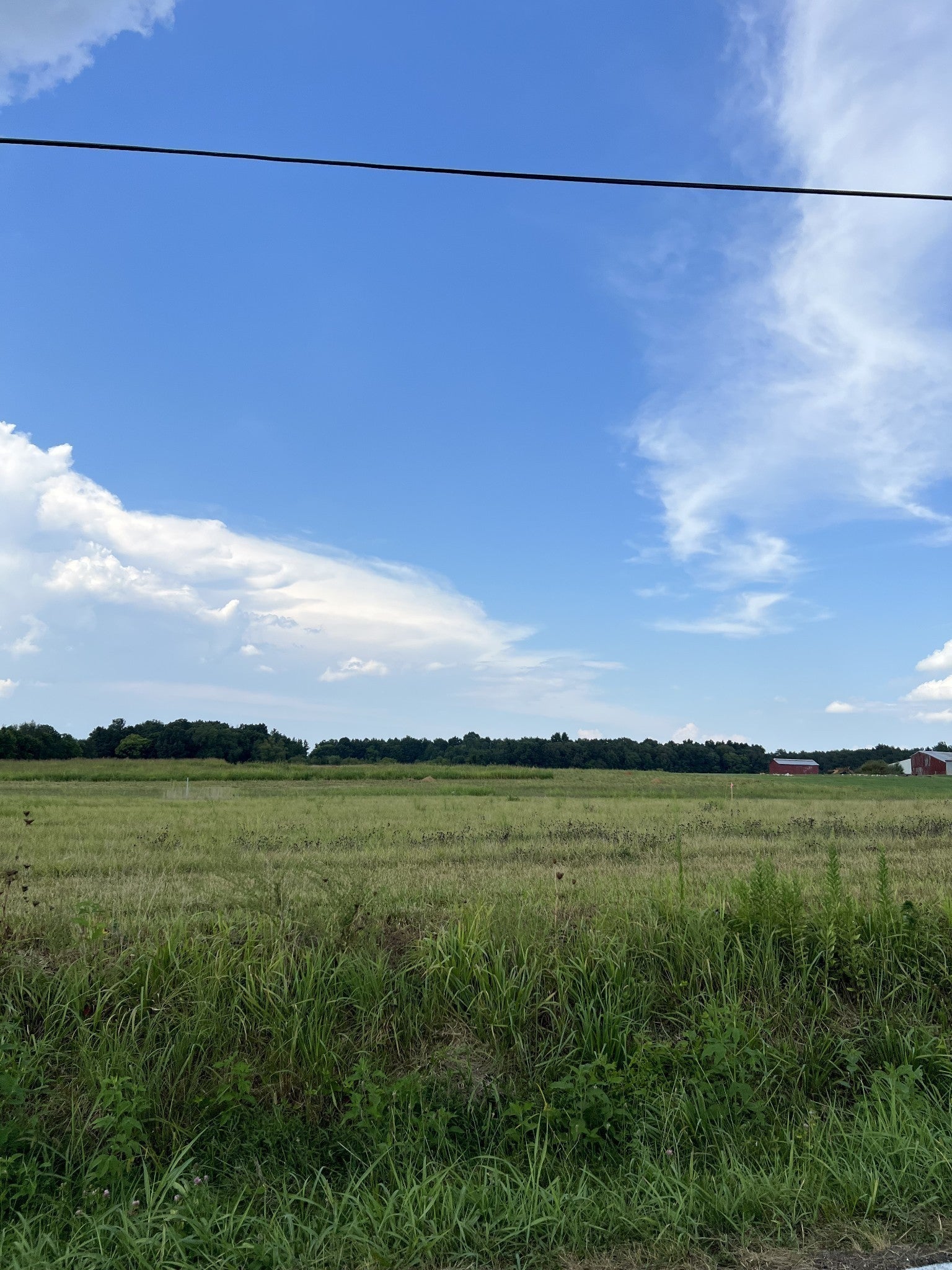 Photo of Listing #3052012