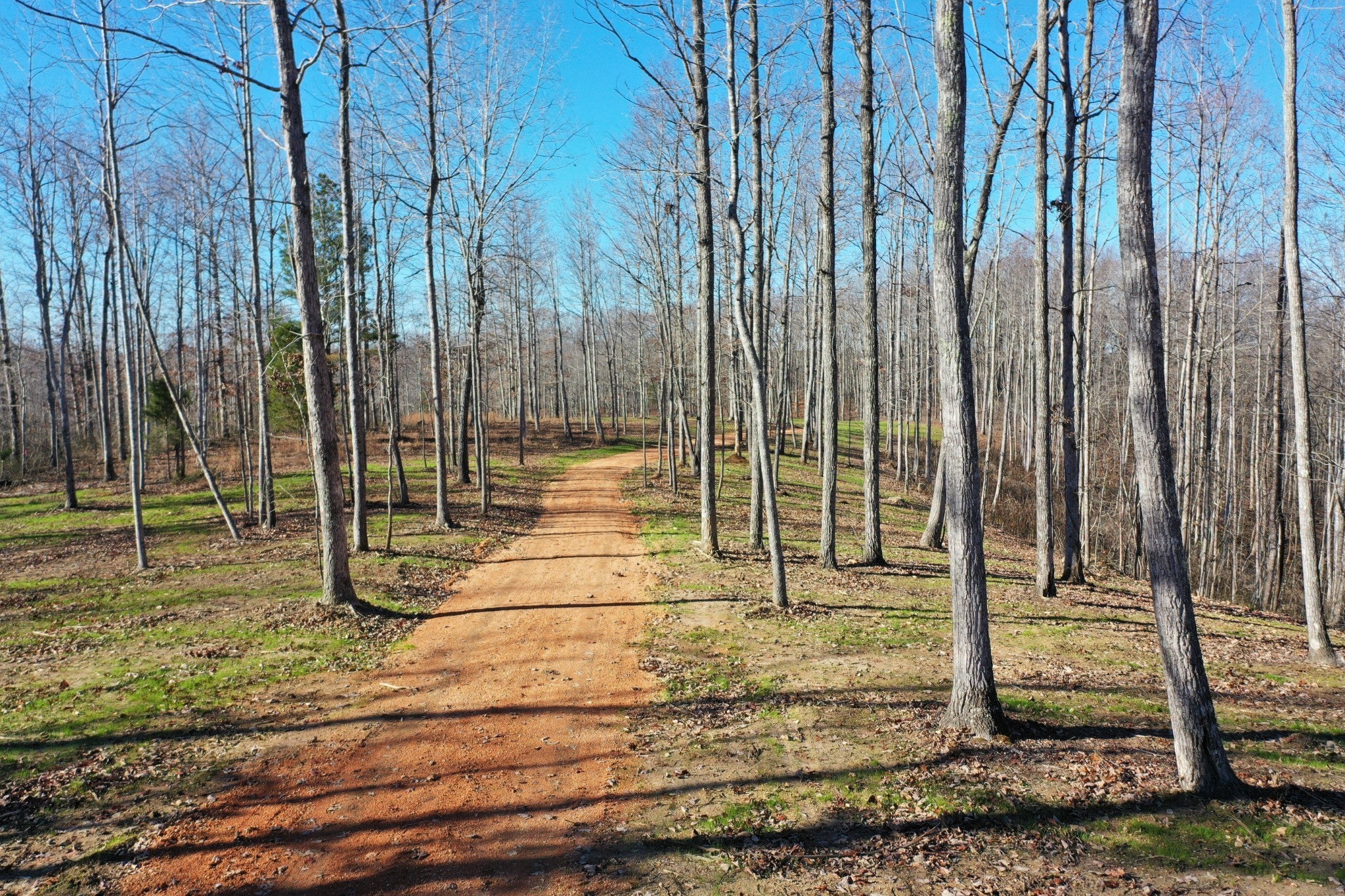 Photo of Listing #3054459