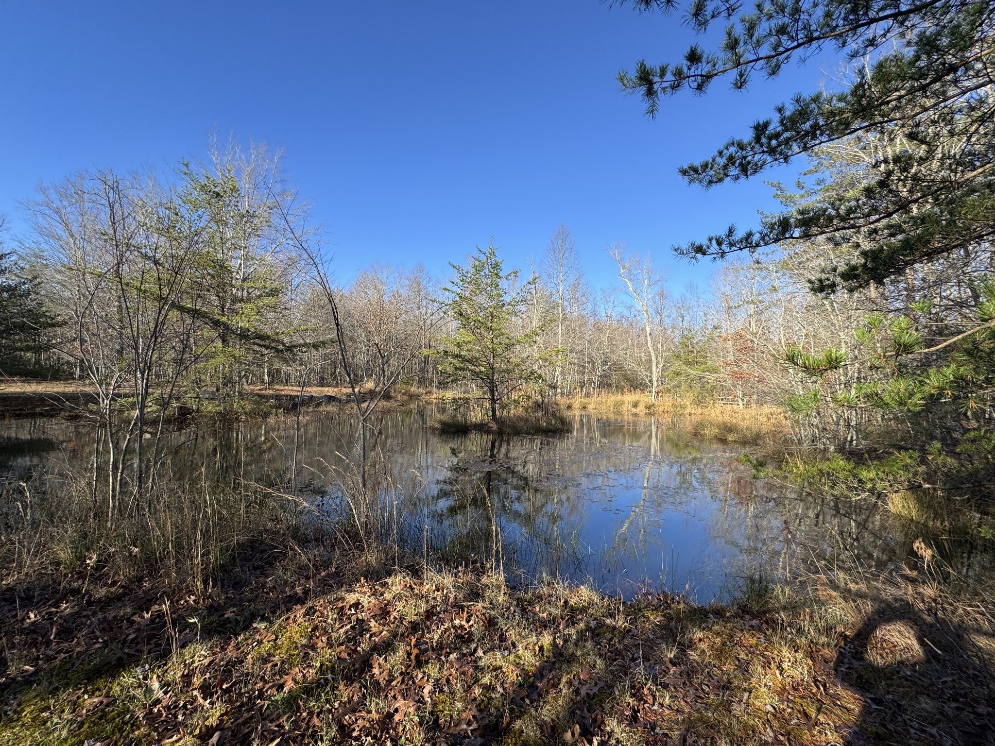 Photo of Listing #3054513