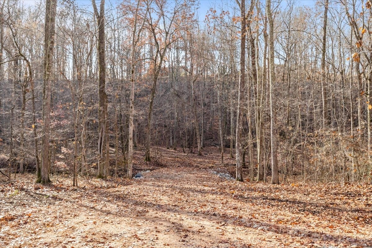 Photo of Listing #3054540