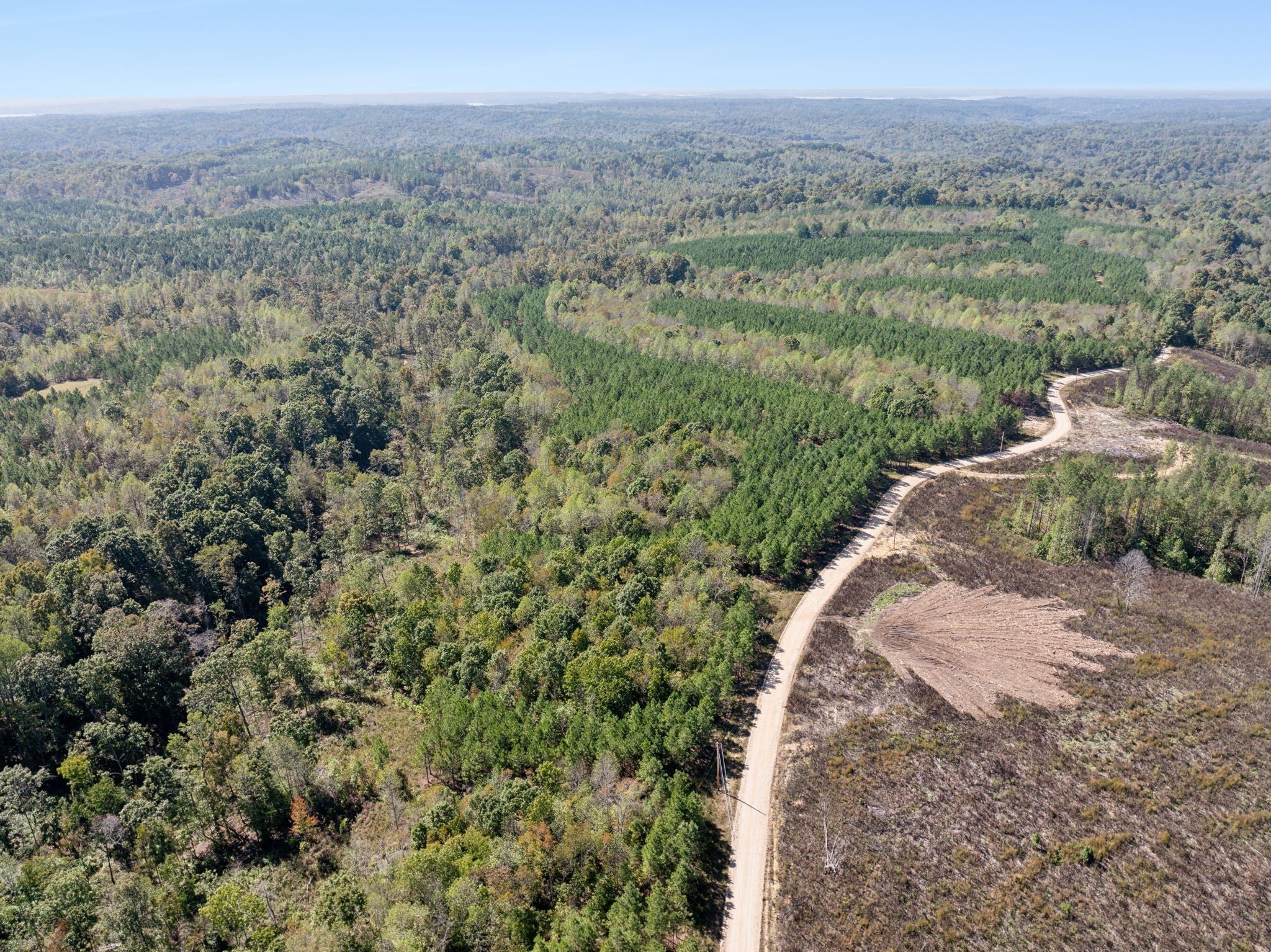 Photo of Listing #3054610