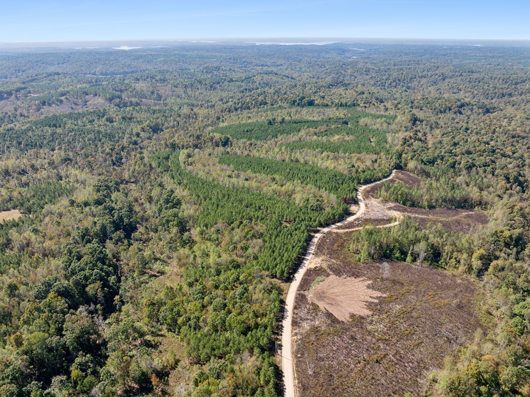 Photo of Listing #3054611