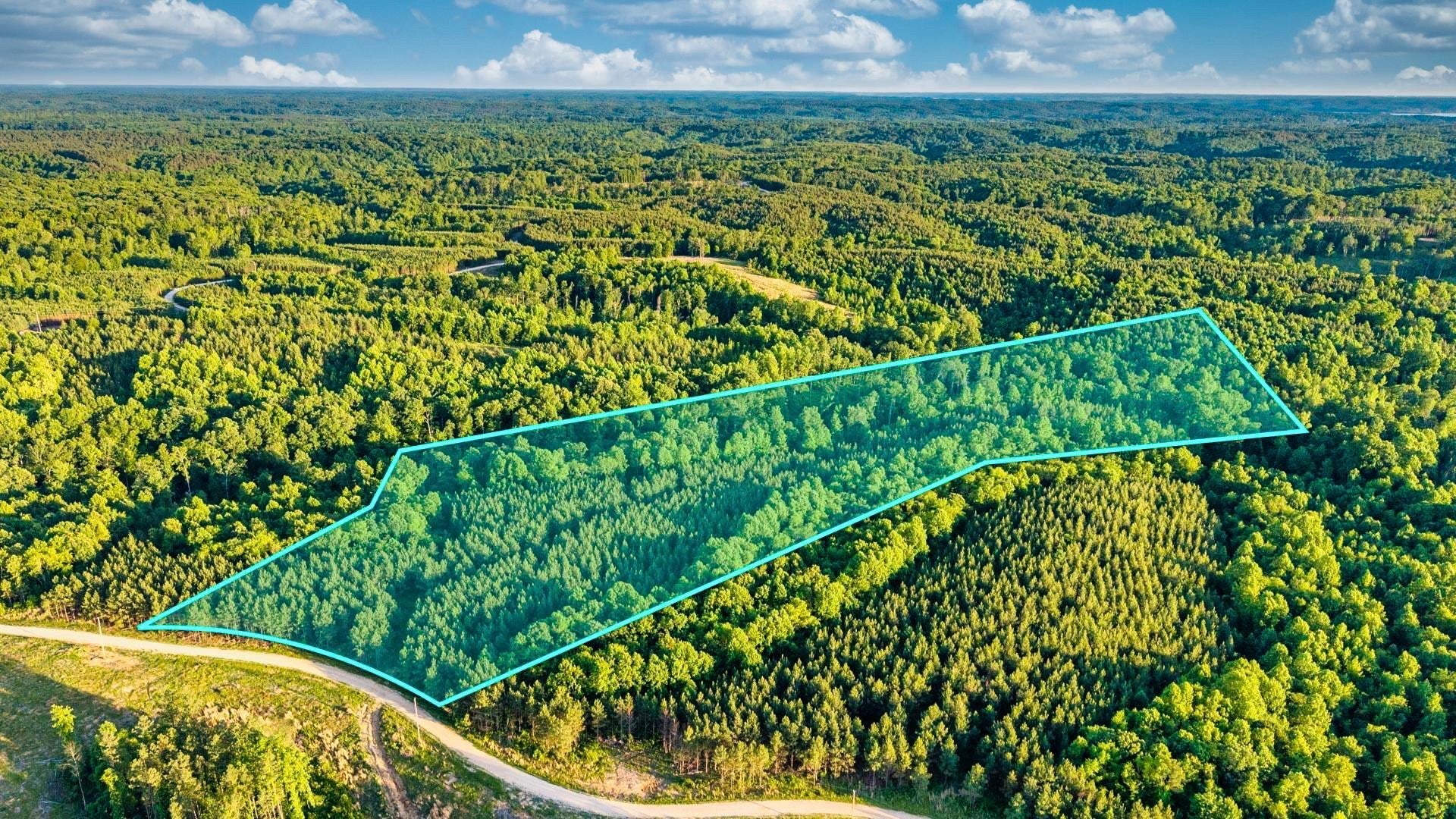 Photo of Listing #3054611