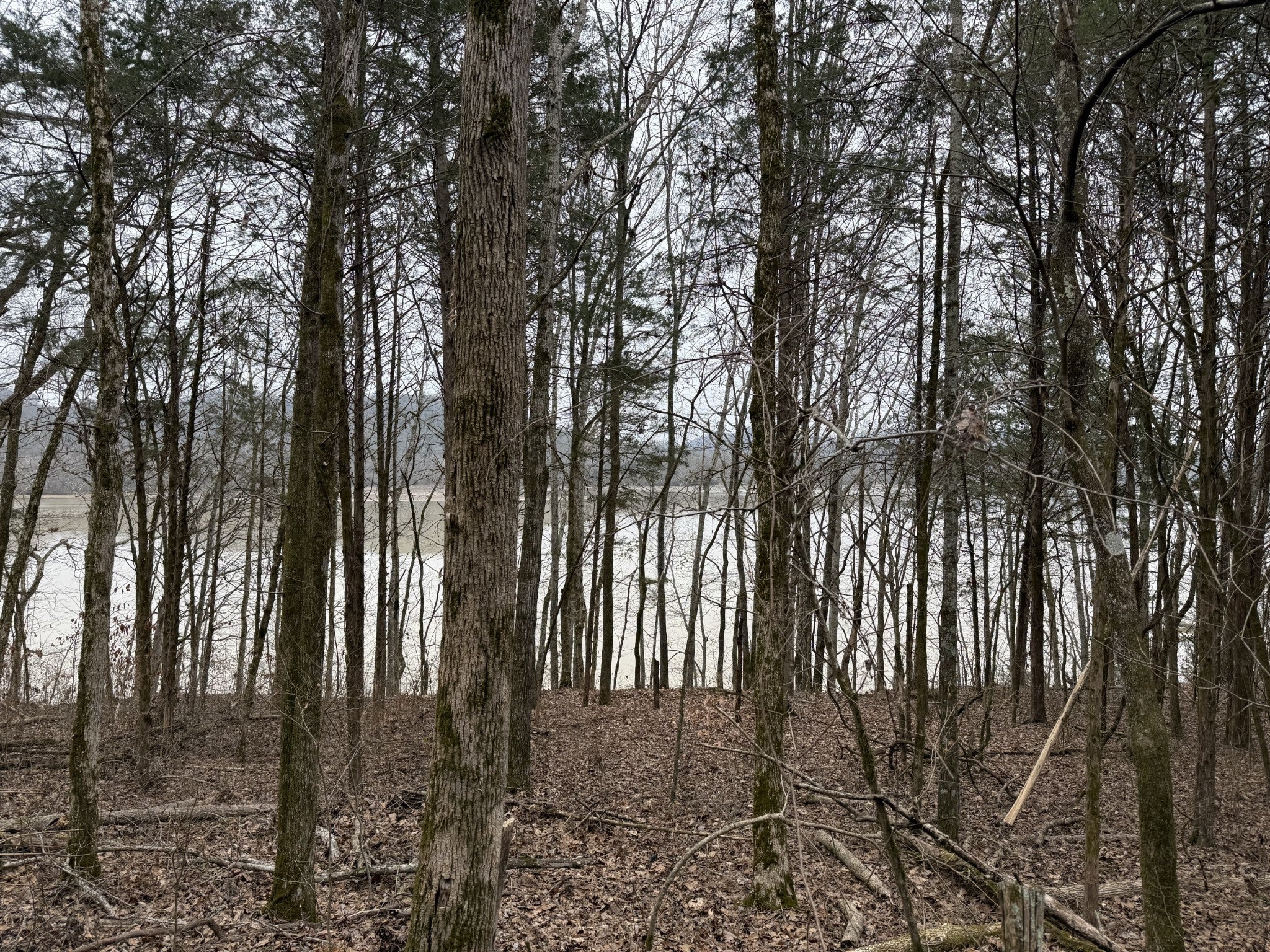 Photo of Listing #3054661