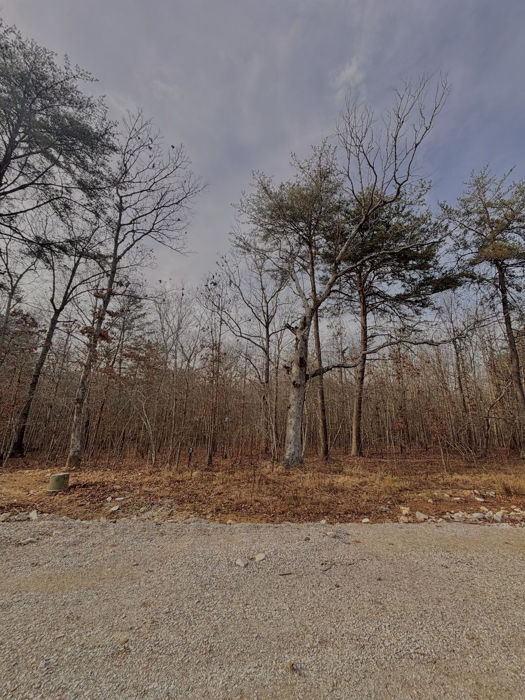 0 Summerfield Road, Monteagle