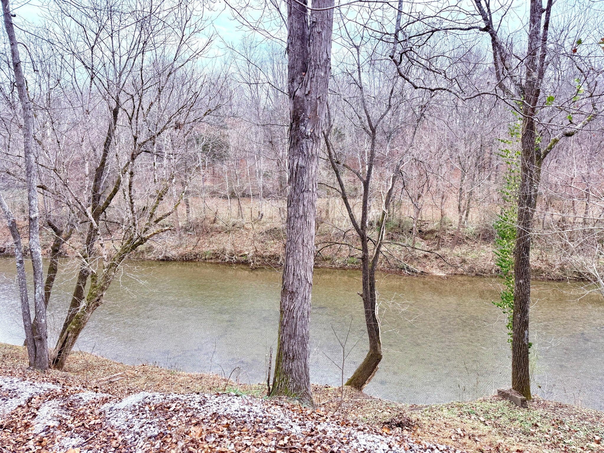 Photo of Listing #3056800