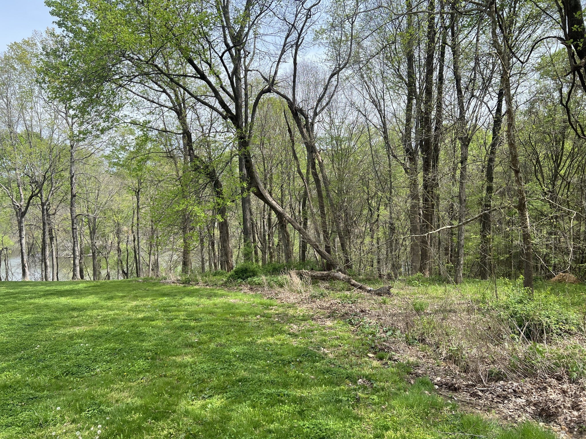 Photo of Listing #3056884