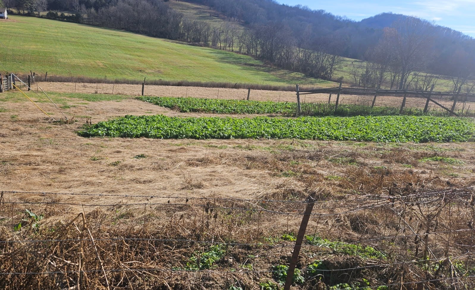 Photo of Listing #3056954