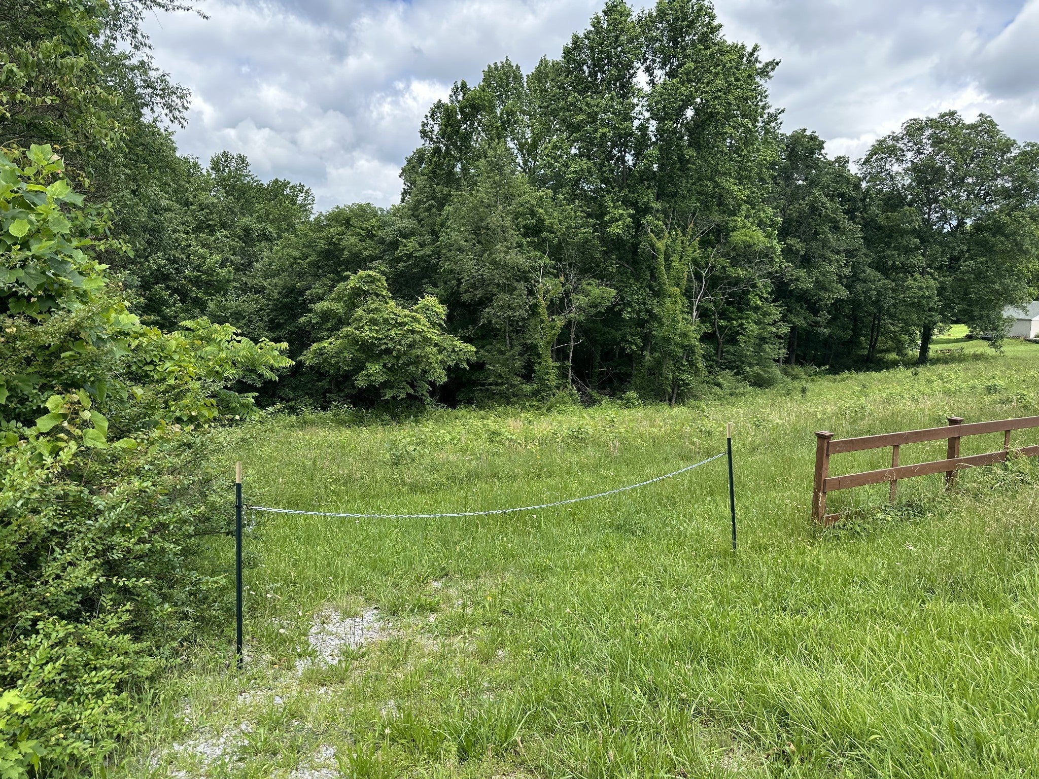 Photo of Listing #3057165