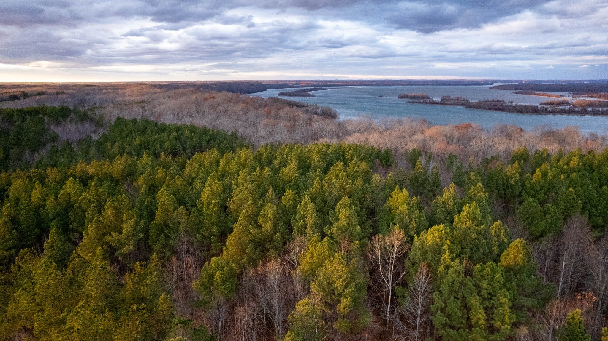 Photo of Listing #3057689