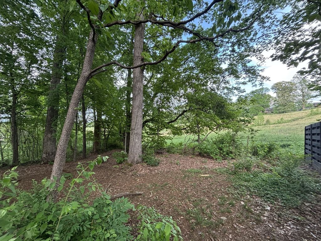 1012 Saint Johns Dr, Maryville