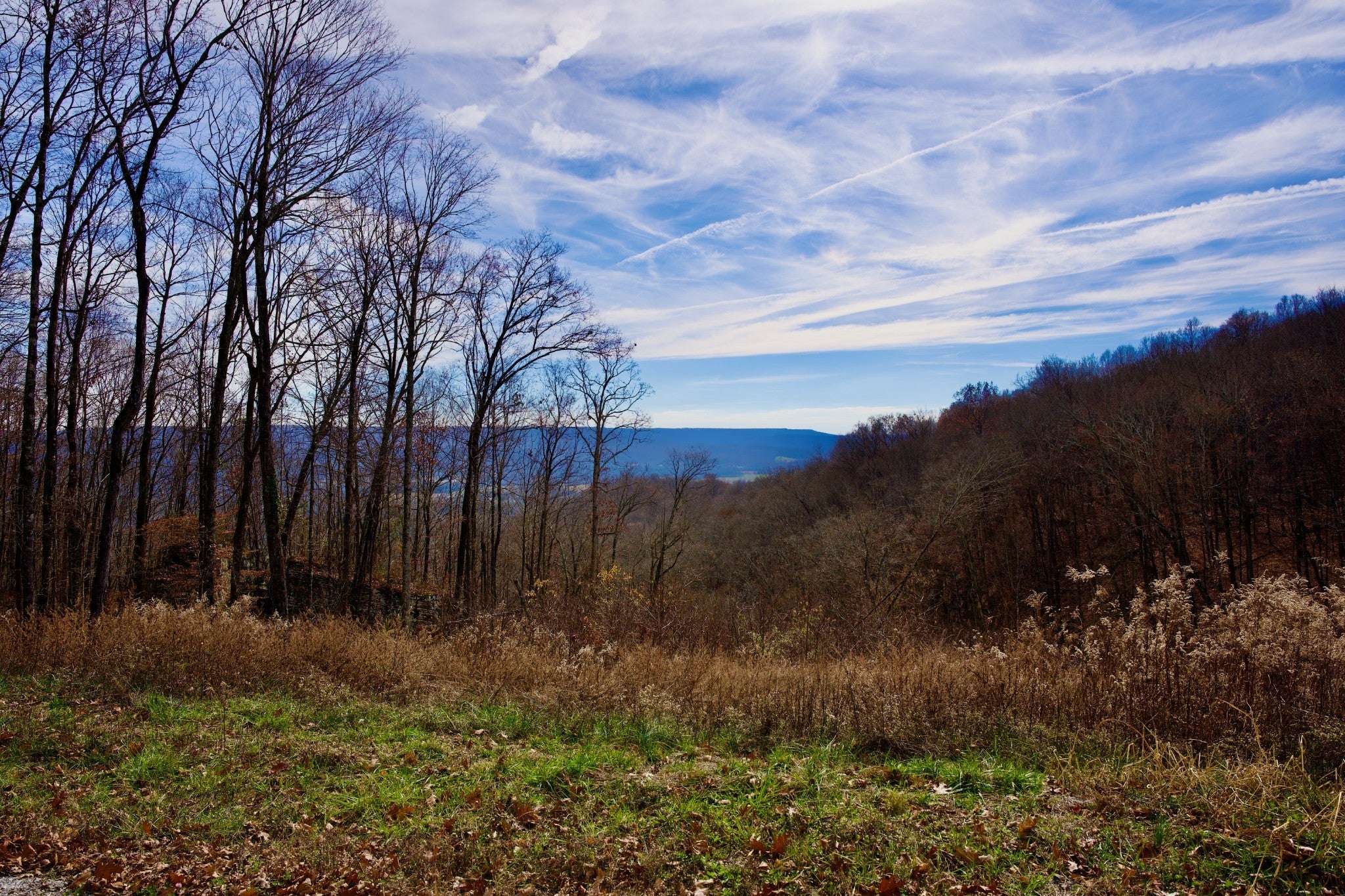 Photo of Listing #3057924